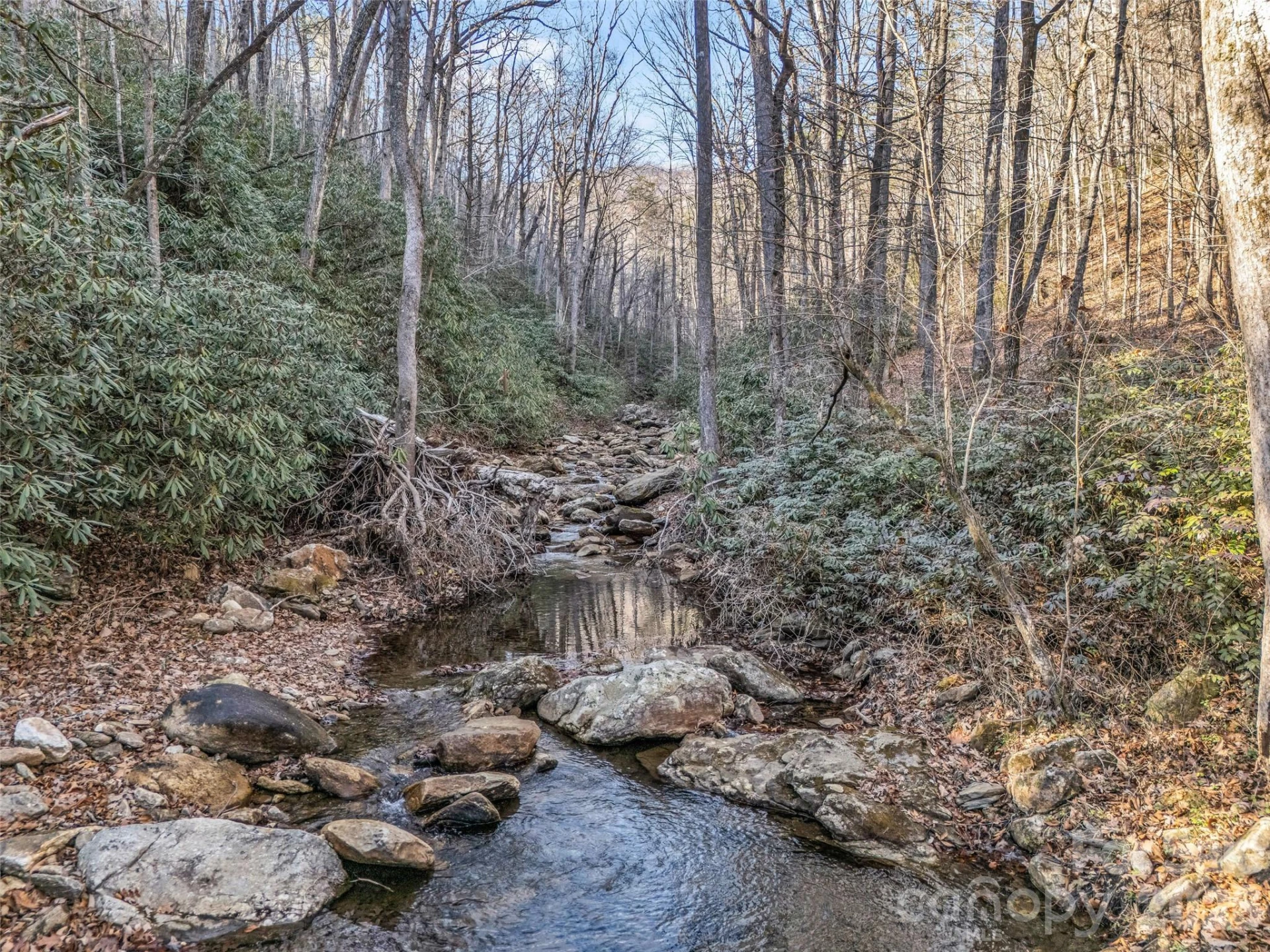 61 Deep Gap Farm Road - Photo 14