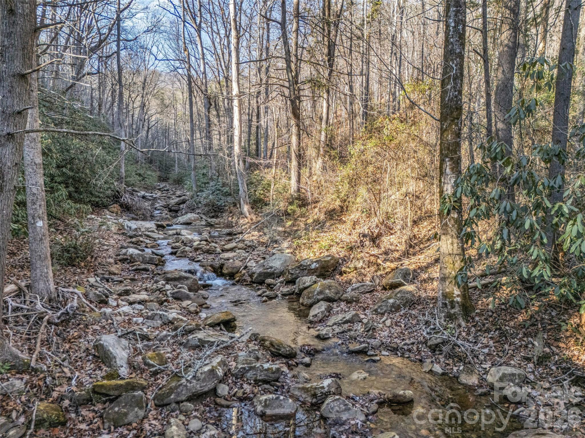 61 Deep Gap Farm Road - Photo 16