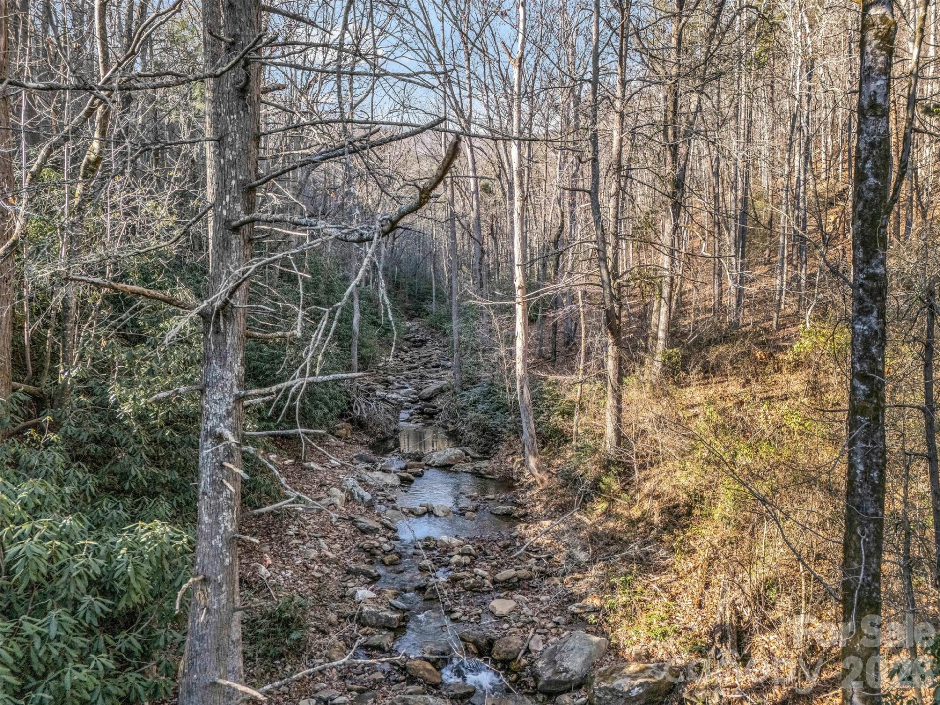 61 Deep Gap Farm Road - Photo 17
