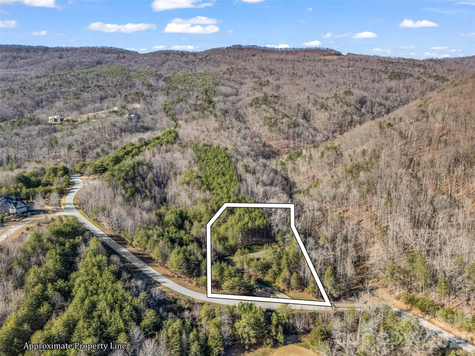 61 Deep Gap Farm Road - Photo 4