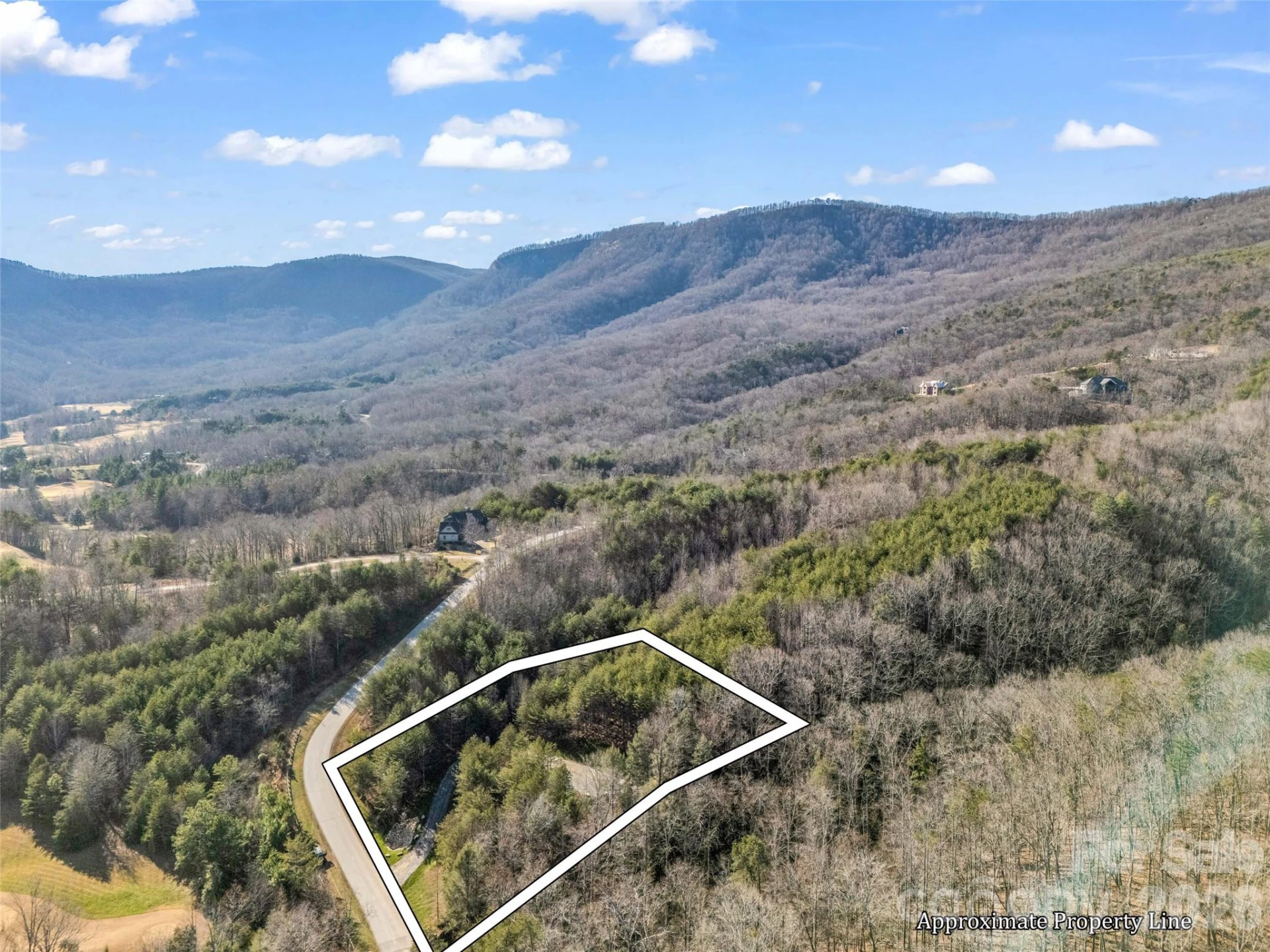 61 Deep Gap Farm Road - Photo 5