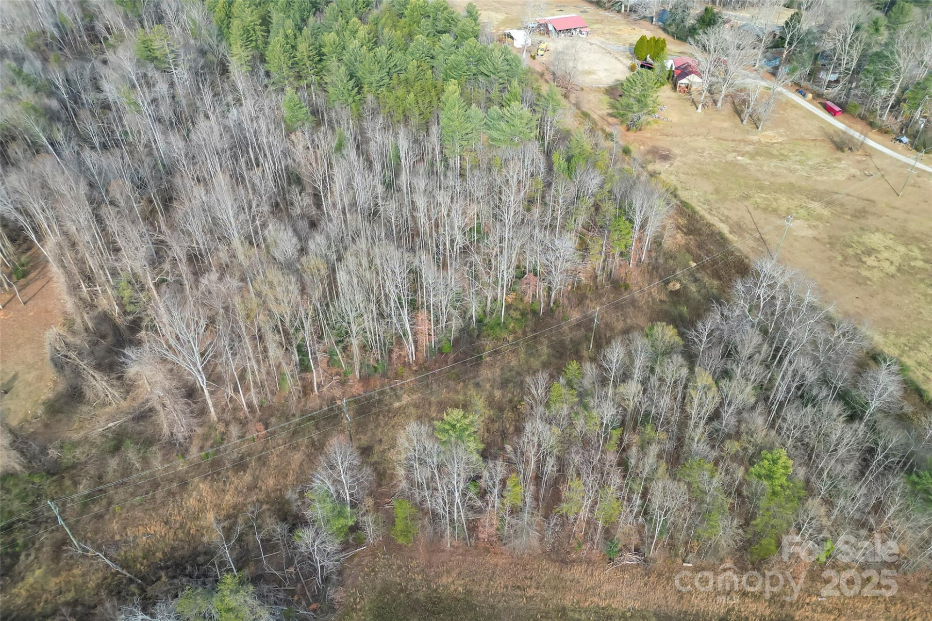 1919 US 70 Highway - Photo 3