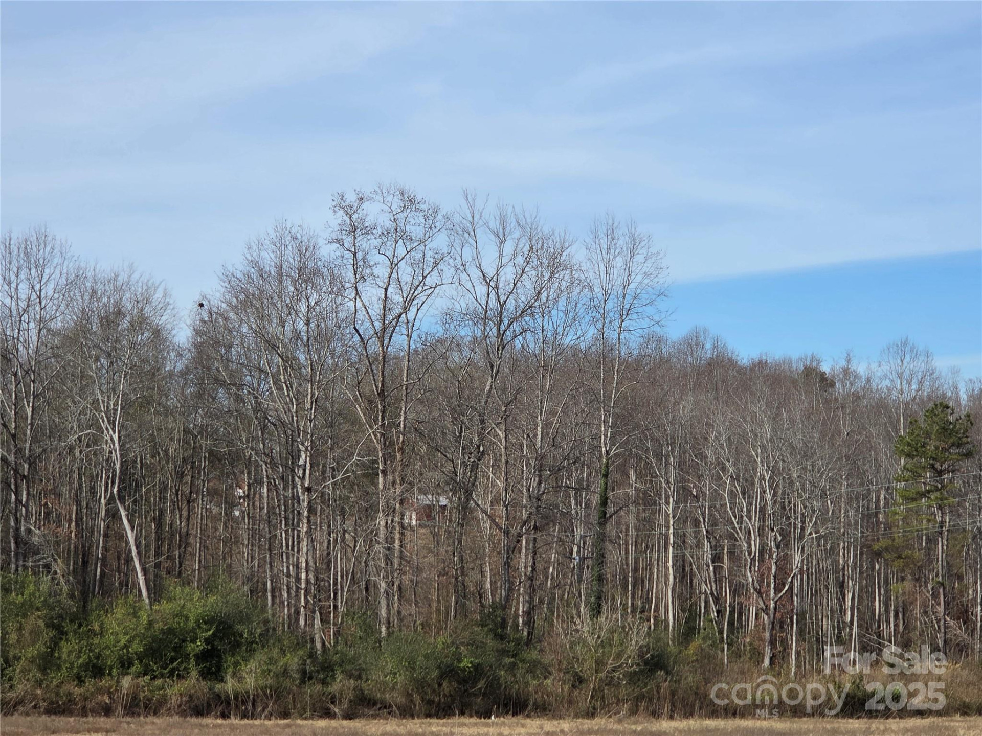 1919 US 70 Highway - Photo 6