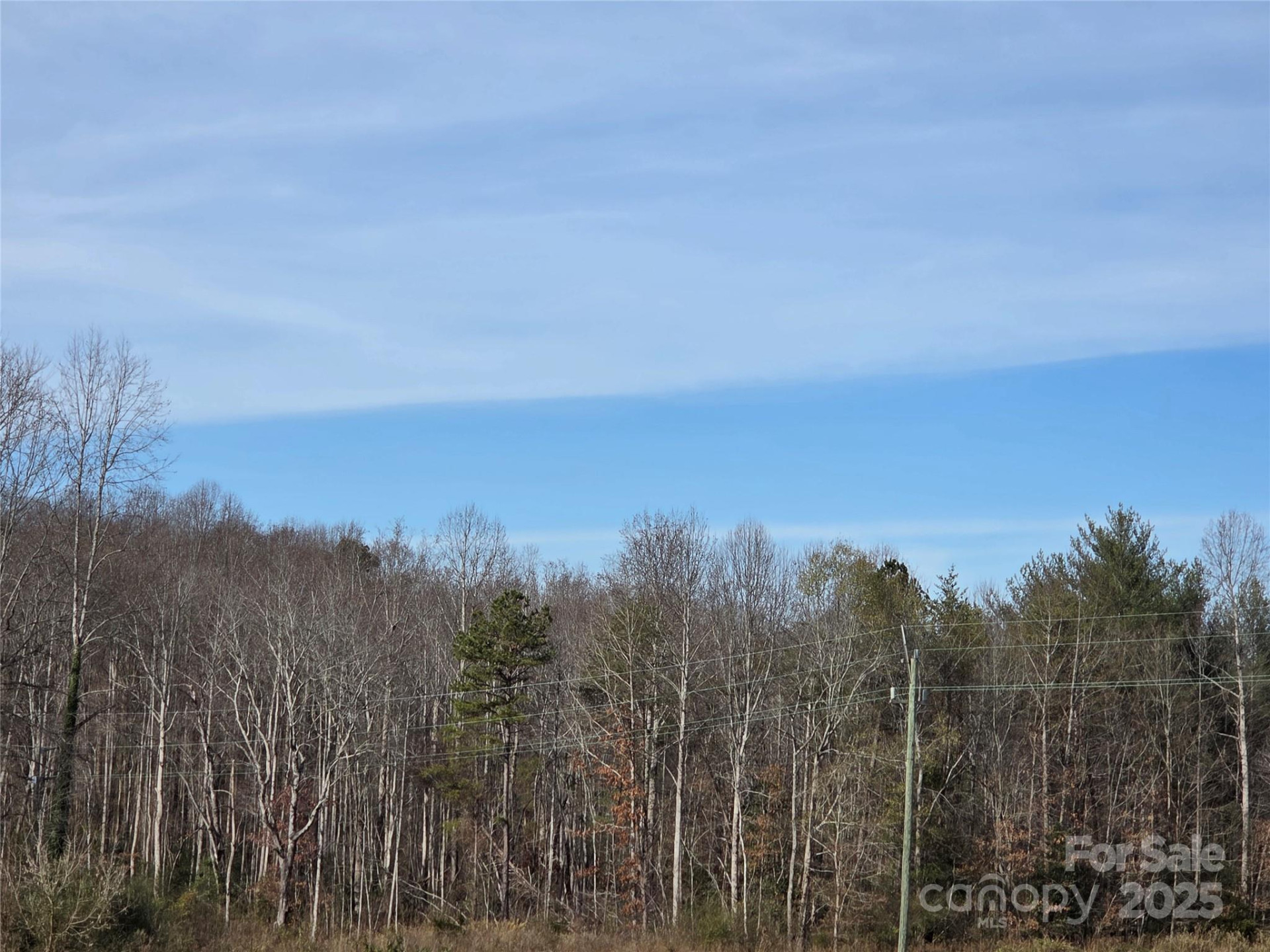 1919 US 70 Highway - Photo 7