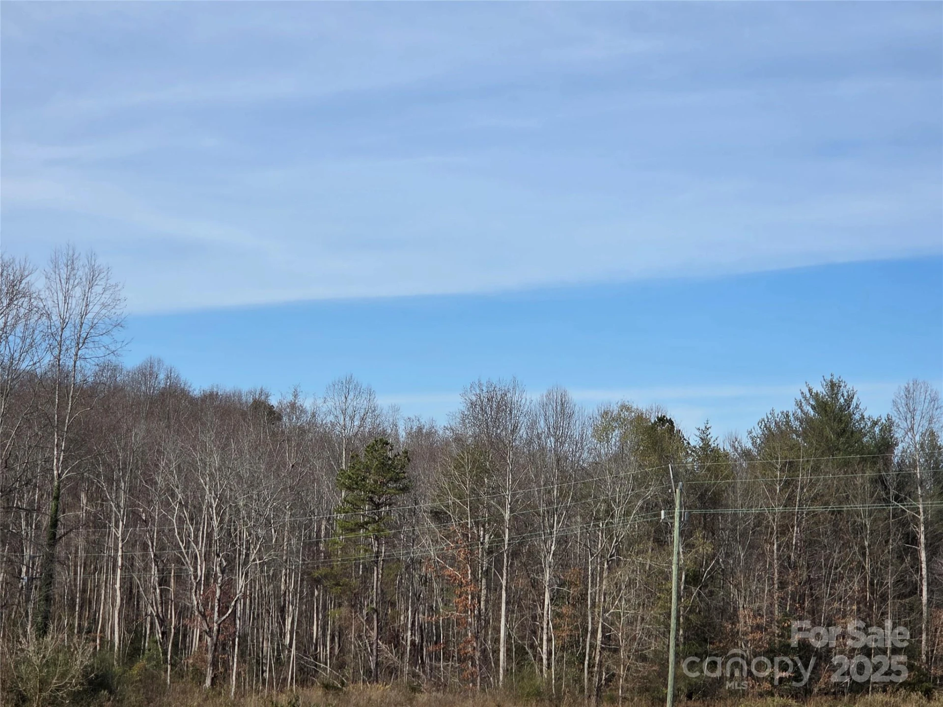 1919 US 70 Highway - Photo 7
