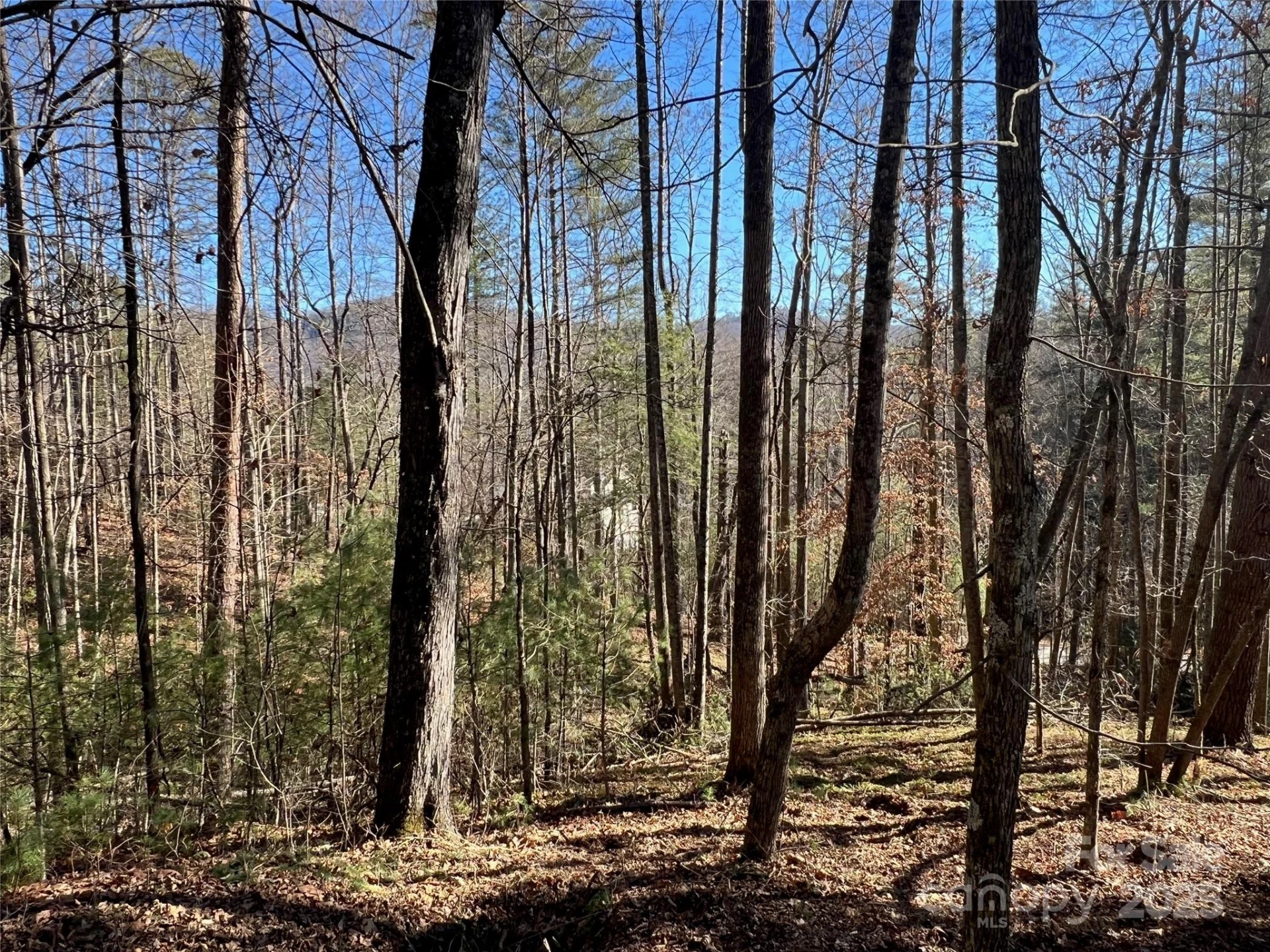 147 Falling Leaves Lane #50 - Photo 2