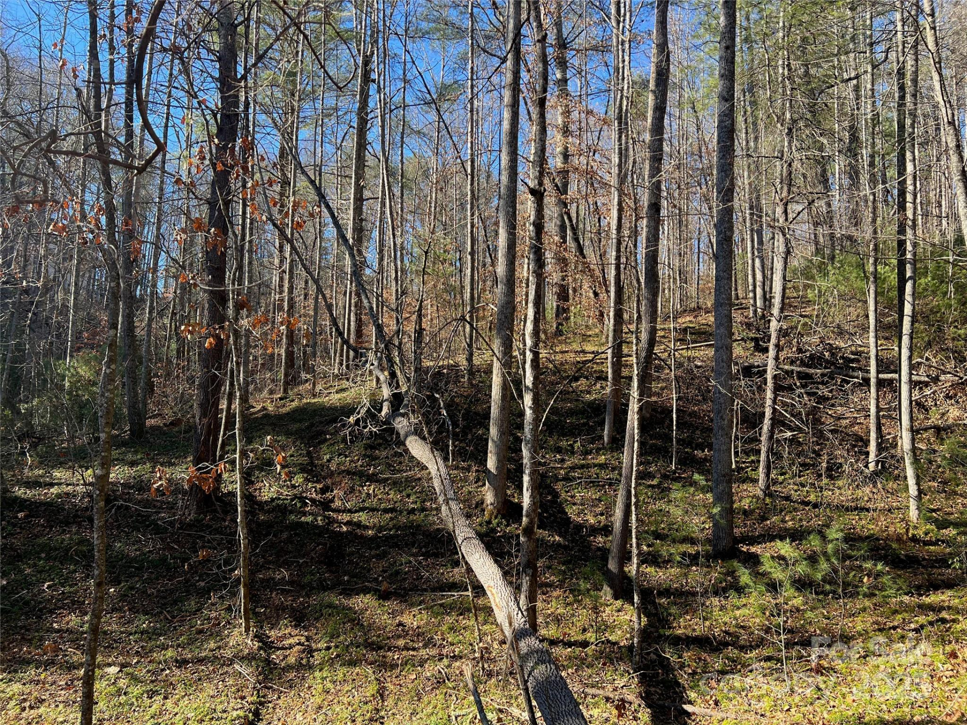 147 Falling Leaves Lane #50 - Photo 3