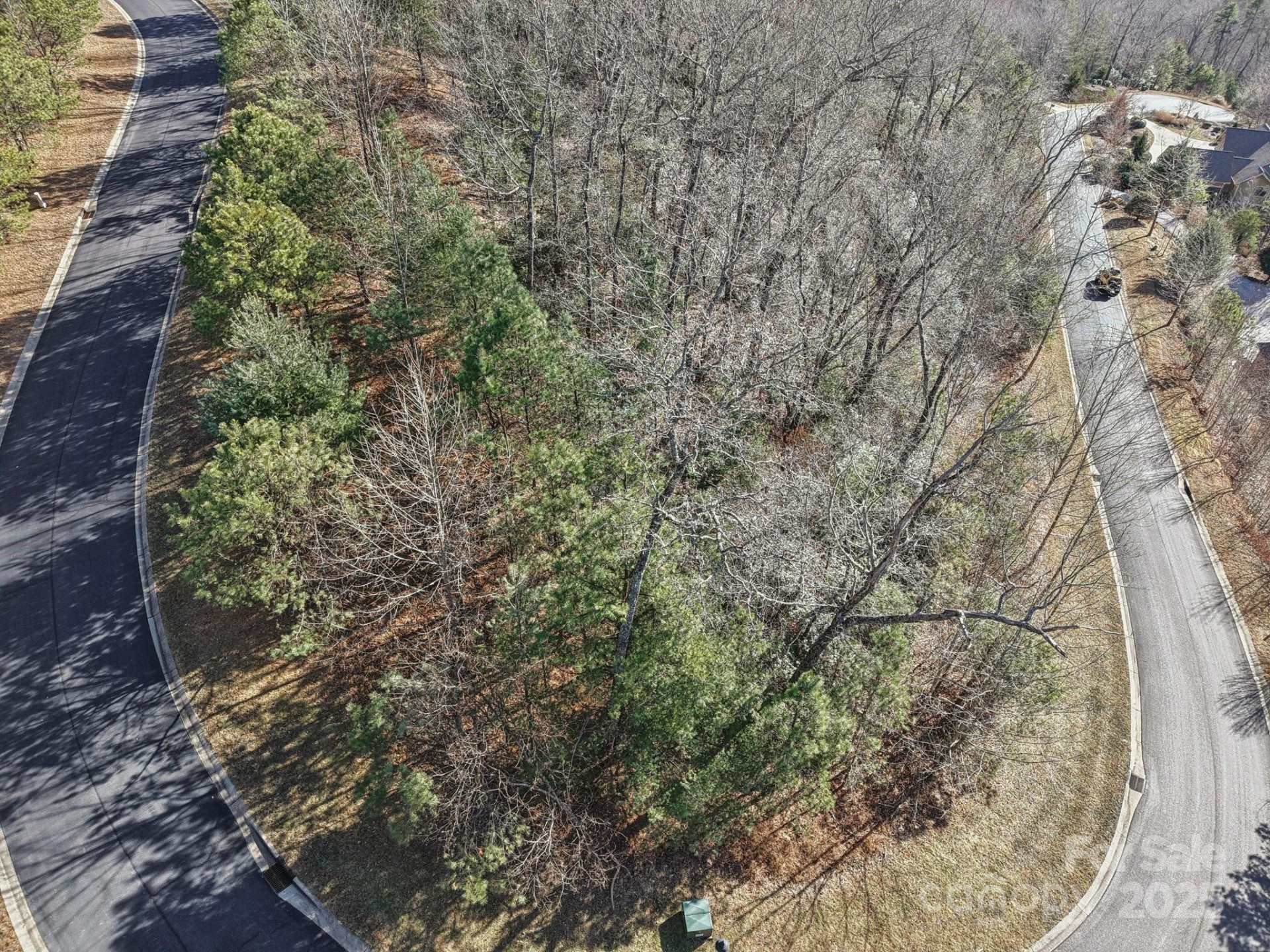 TBD Stonefly Drive #144 - Photo 6