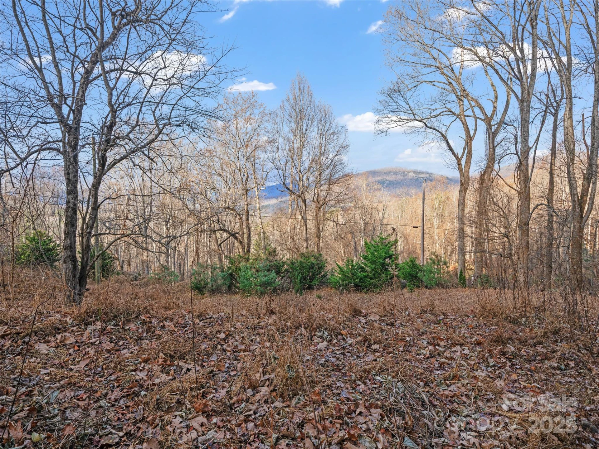 99999 Flora Rose Trail - Photo 2