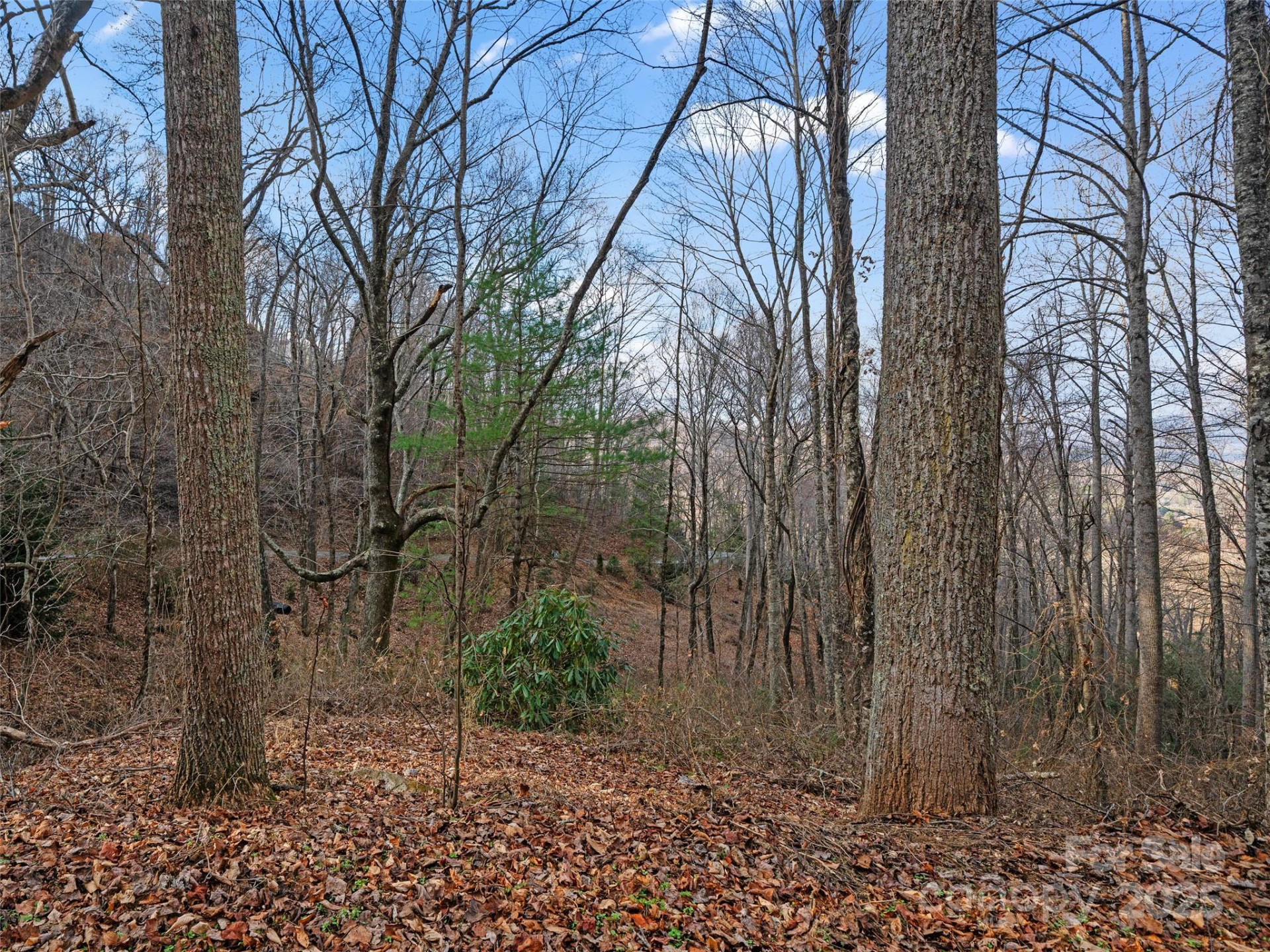 99999 Flora Rose Trail - Photo 11