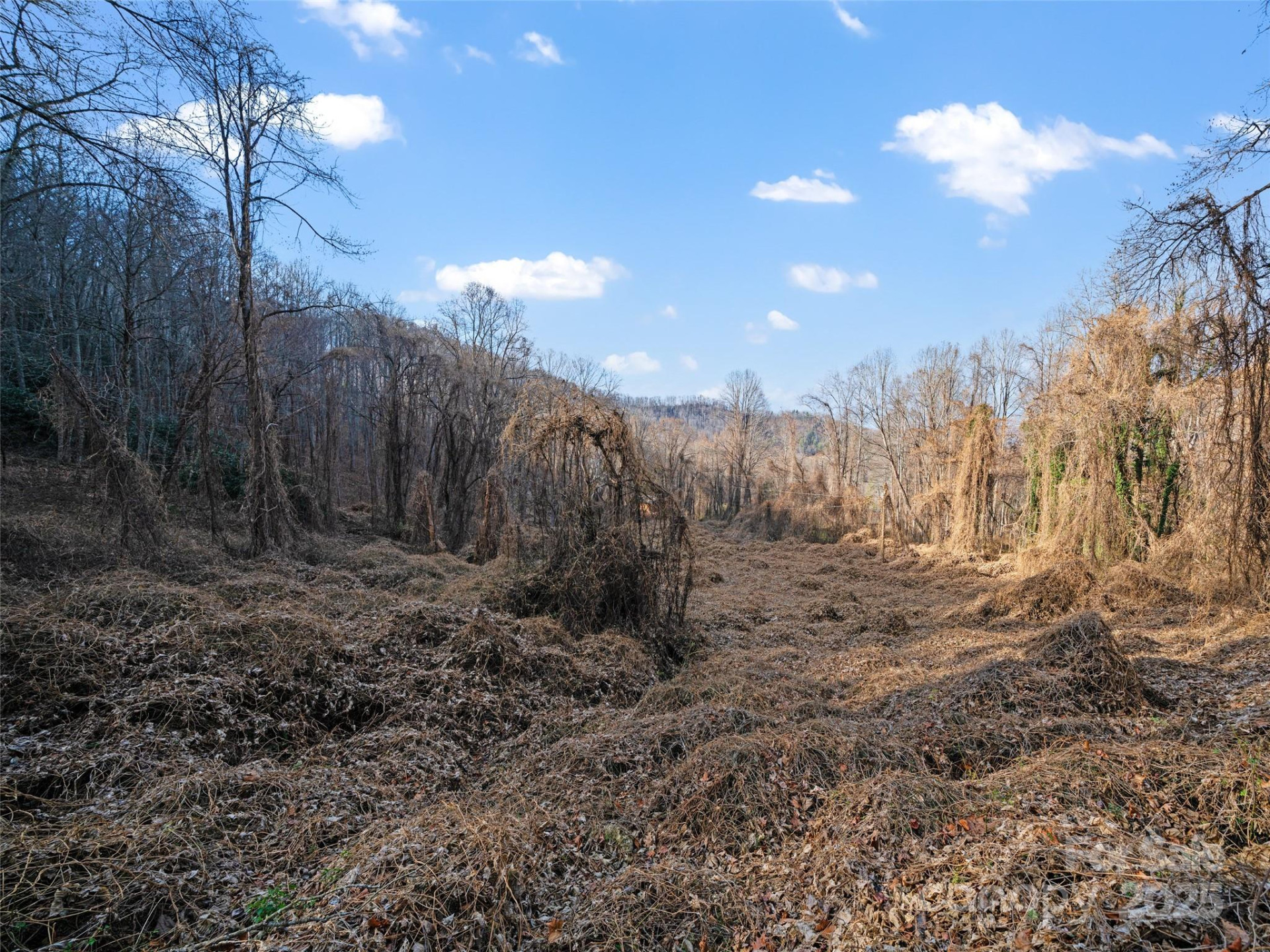 99999 Flora Rose Trail - Photo 14