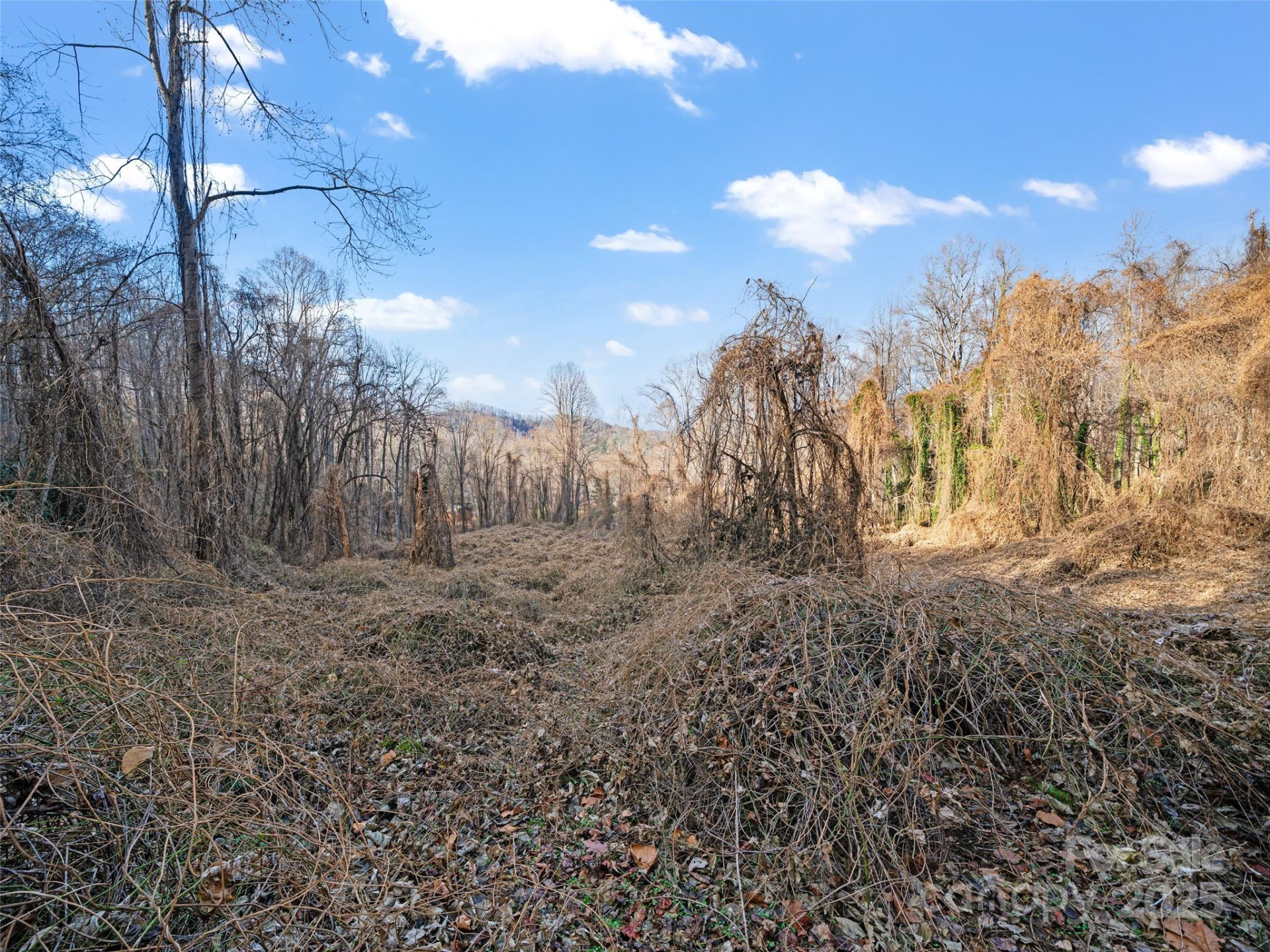 99999 Flora Rose Trail - Photo 15