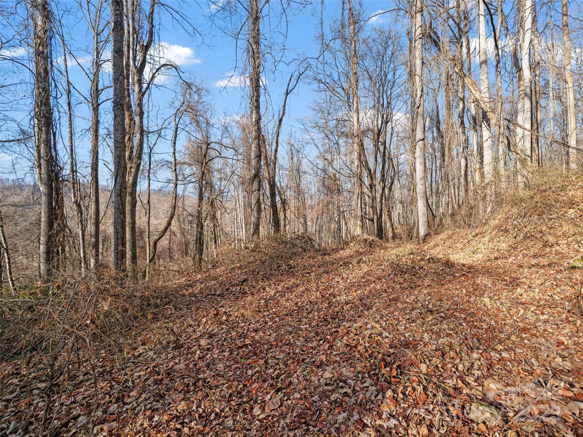 99999 Flora Rose Trail - Photo 16