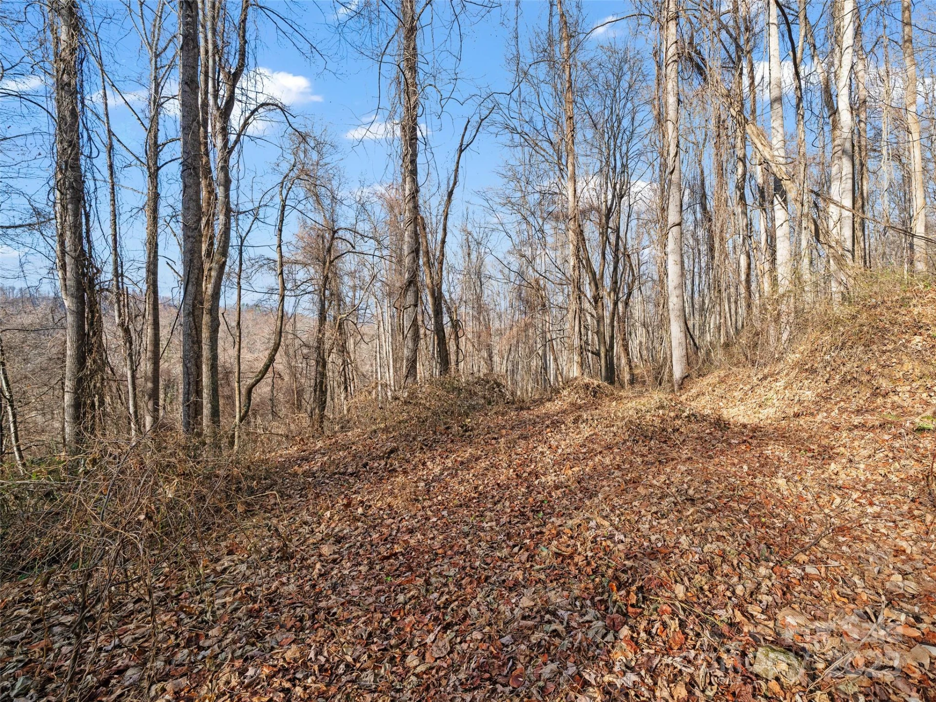 99999 Flora Rose Trail - Photo 16