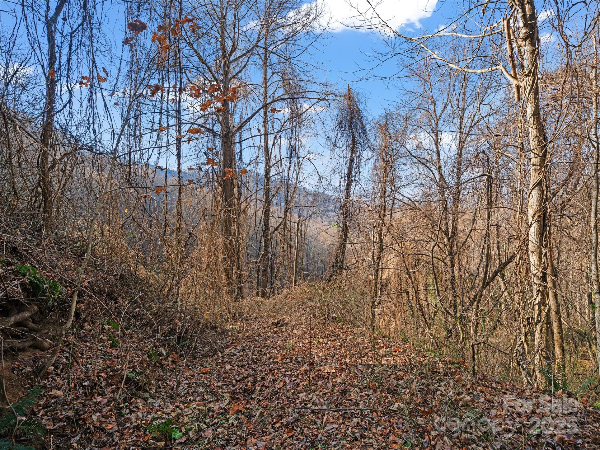 99999 Flora Rose Trail - Photo 17