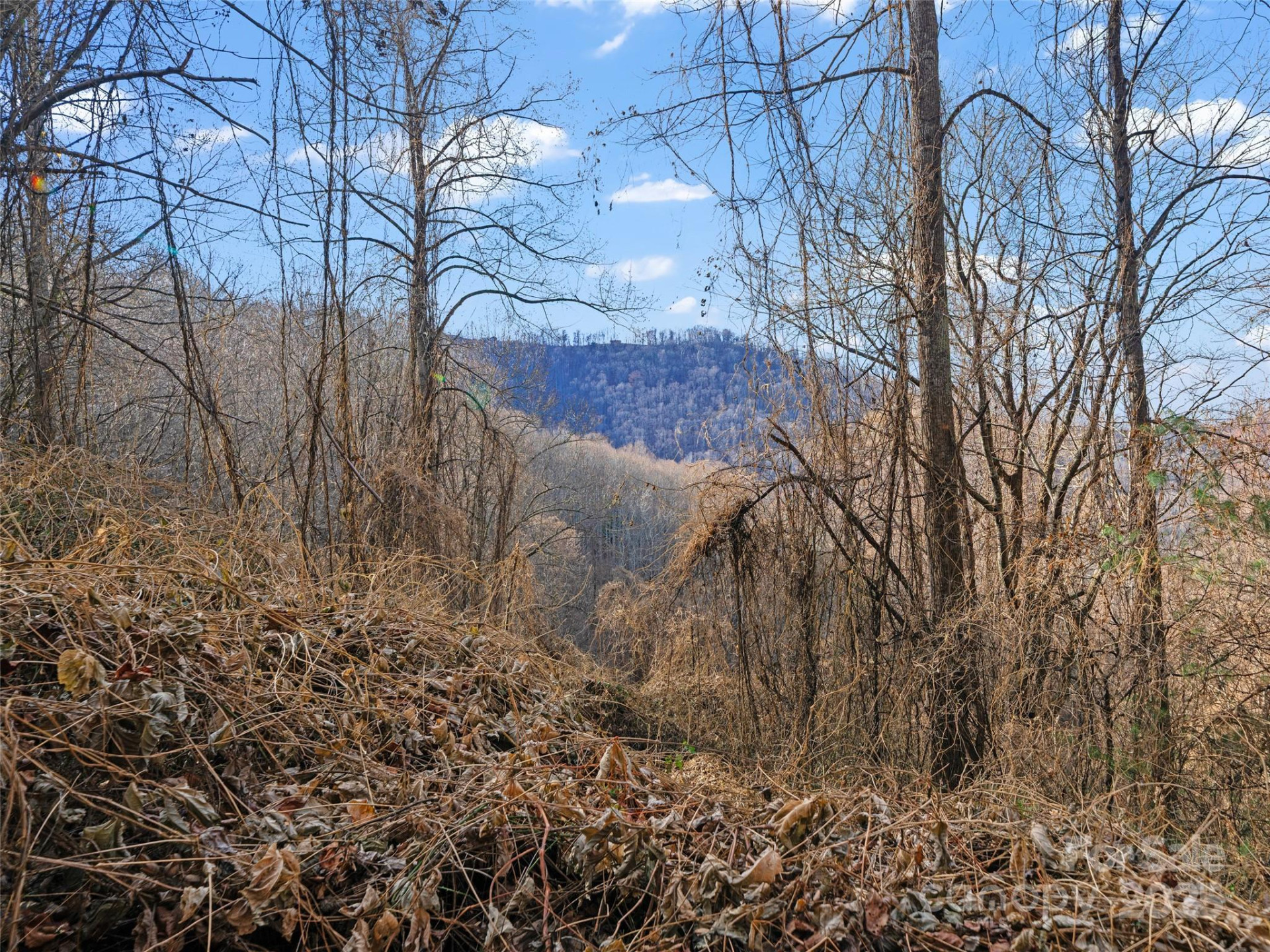 99999 Flora Rose Trail - Photo 18