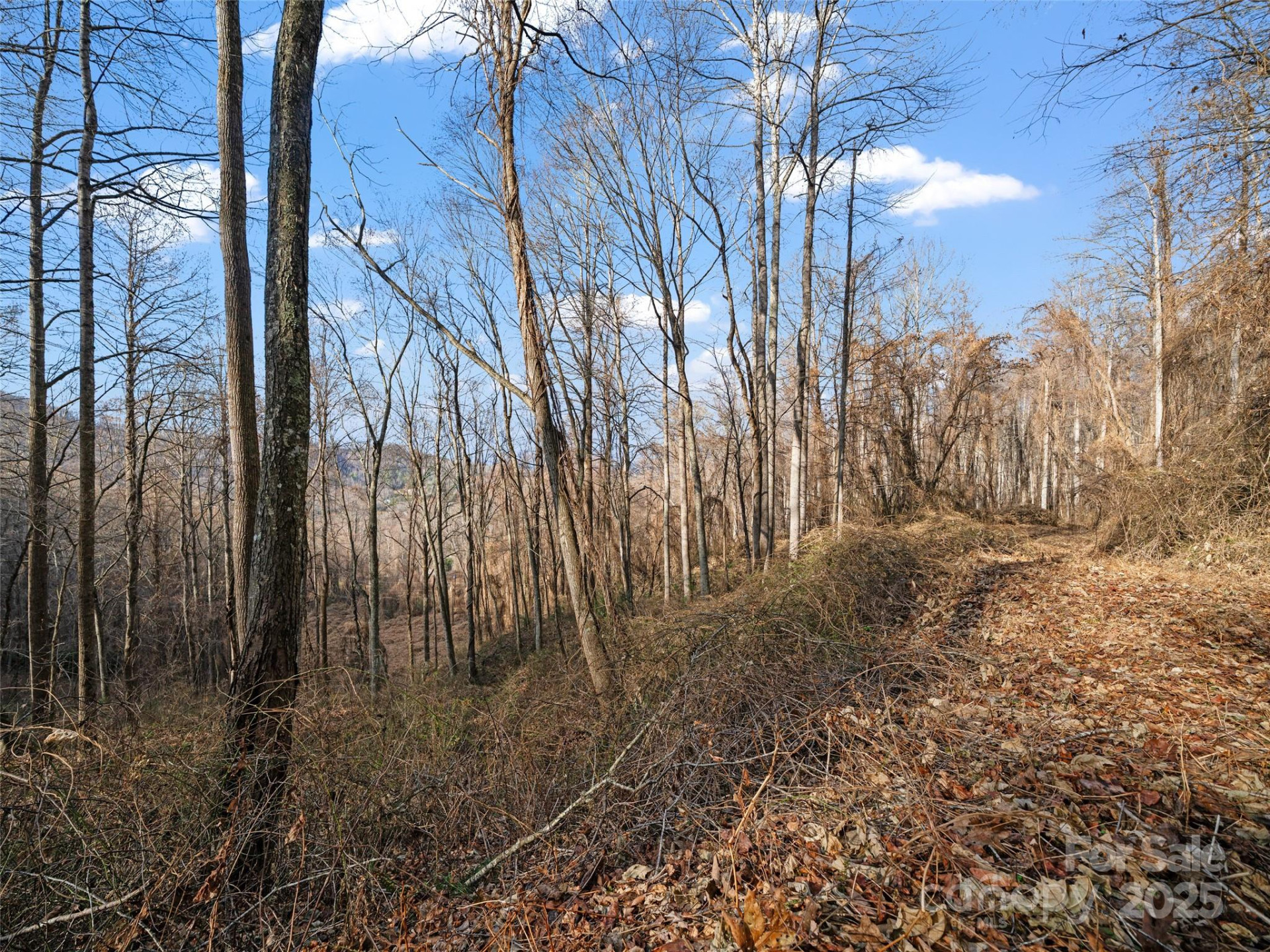 99999 Flora Rose Trail - Photo 19