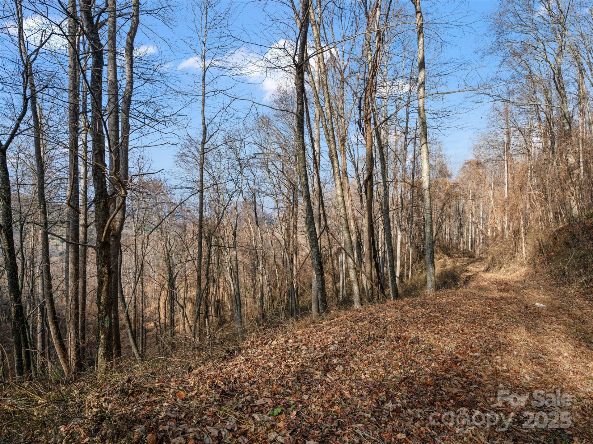 99999 Flora Rose Trail - Photo 20