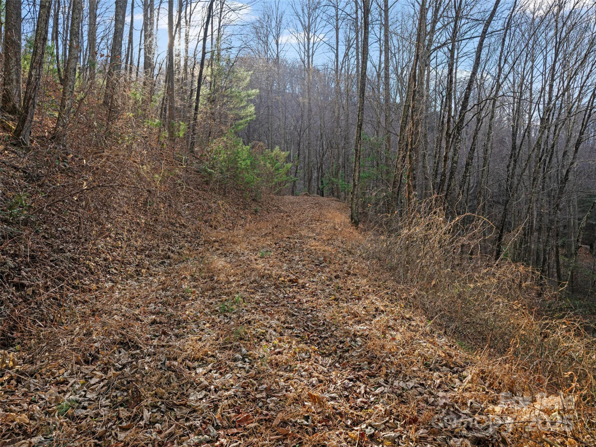 99999 Flora Rose Trail - Photo 21