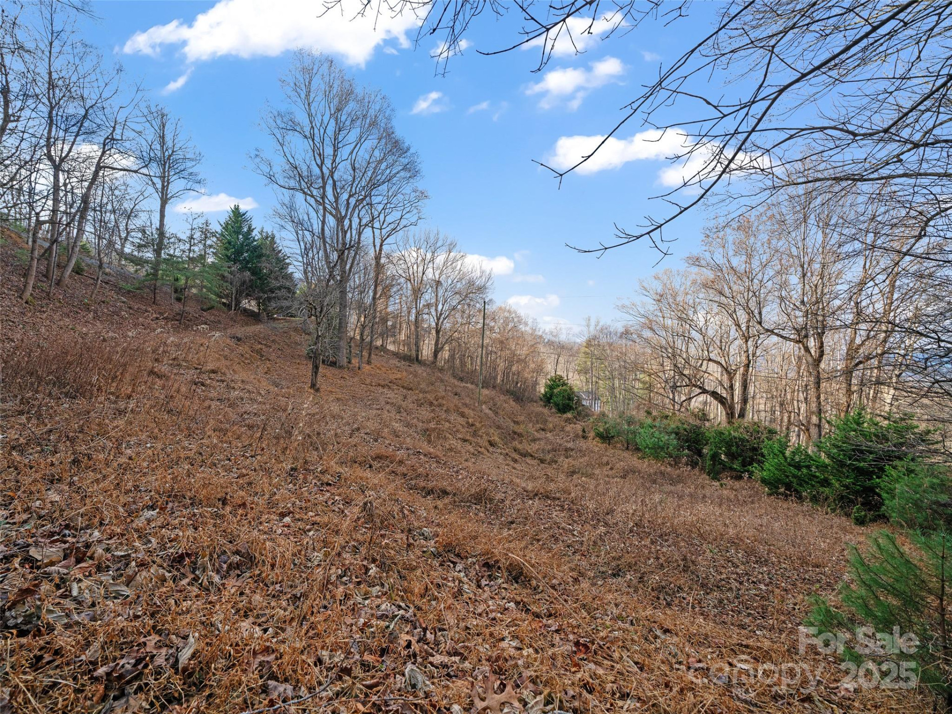 99999 Flora Rose Trail - Photo 24