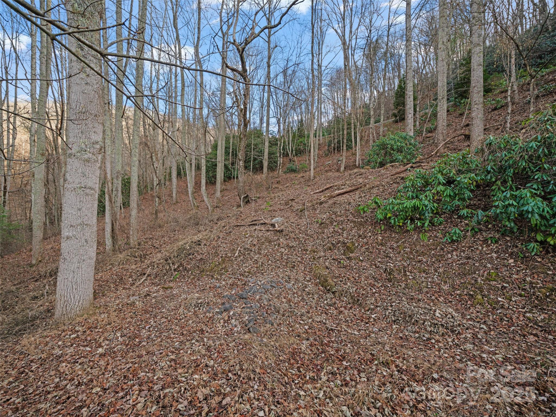 99999 Flora Rose Trail - Photo 25