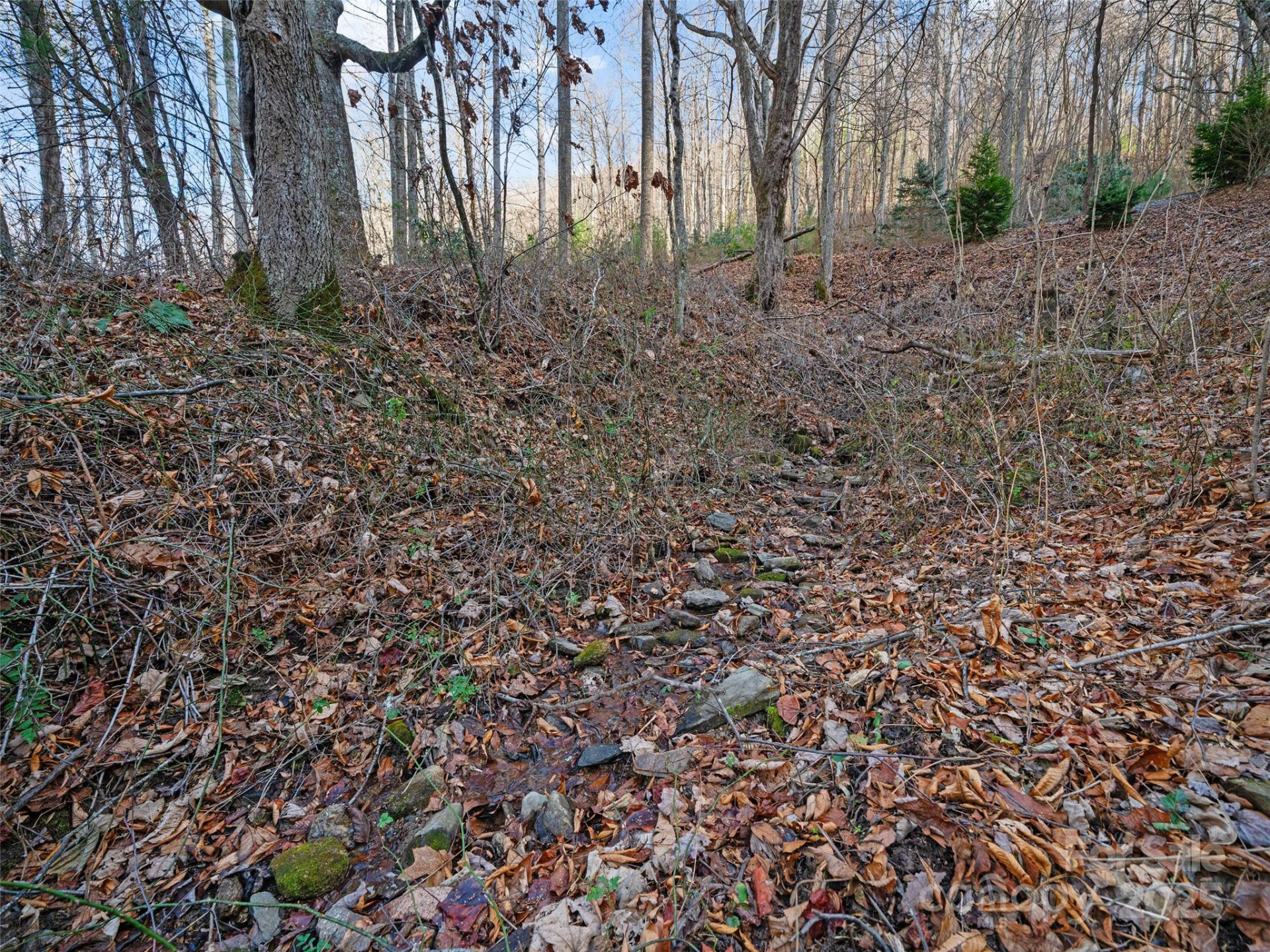 99999 Flora Rose Trail - Photo 26