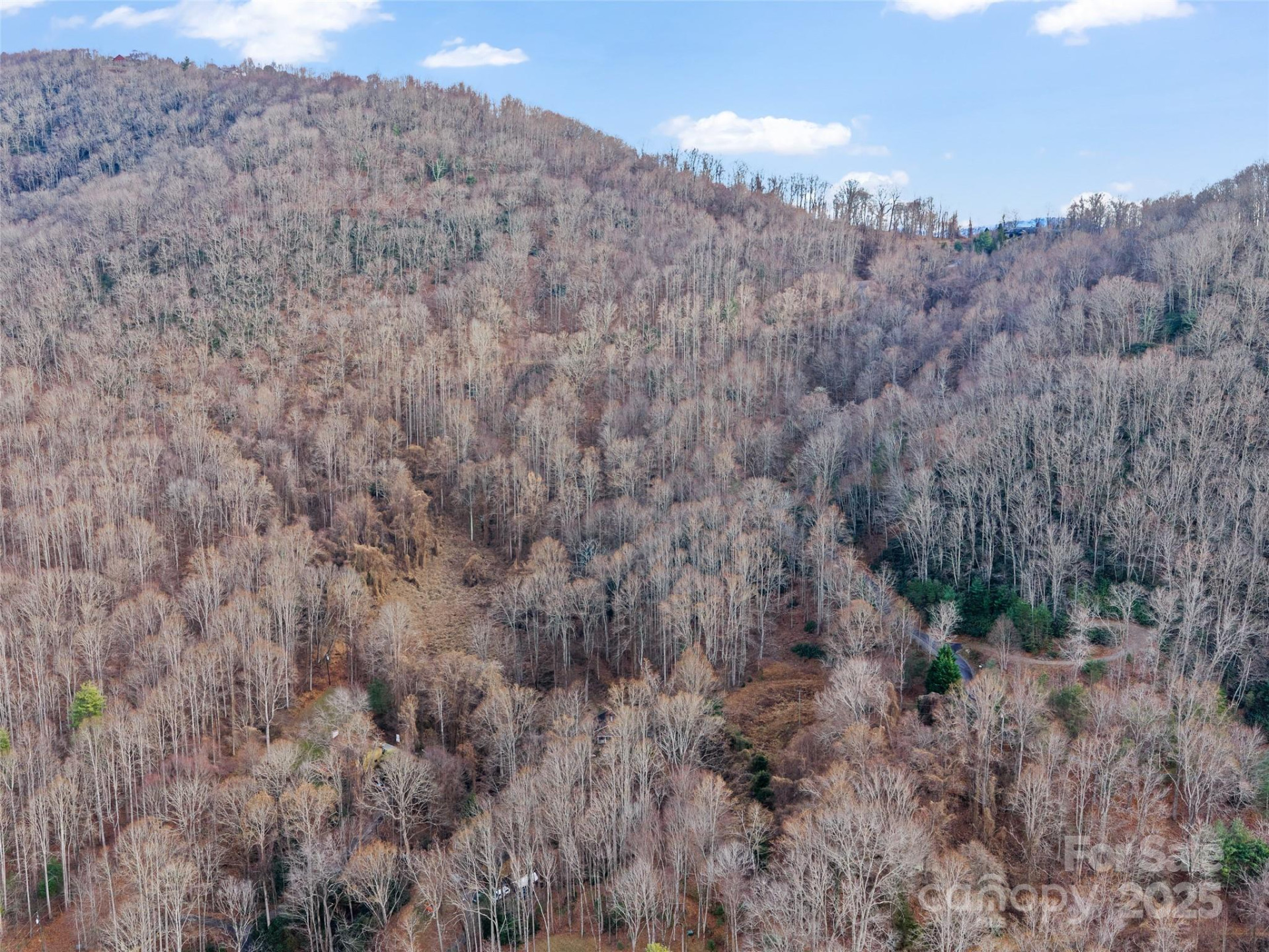 99999 Flora Rose Trail - Photo 28