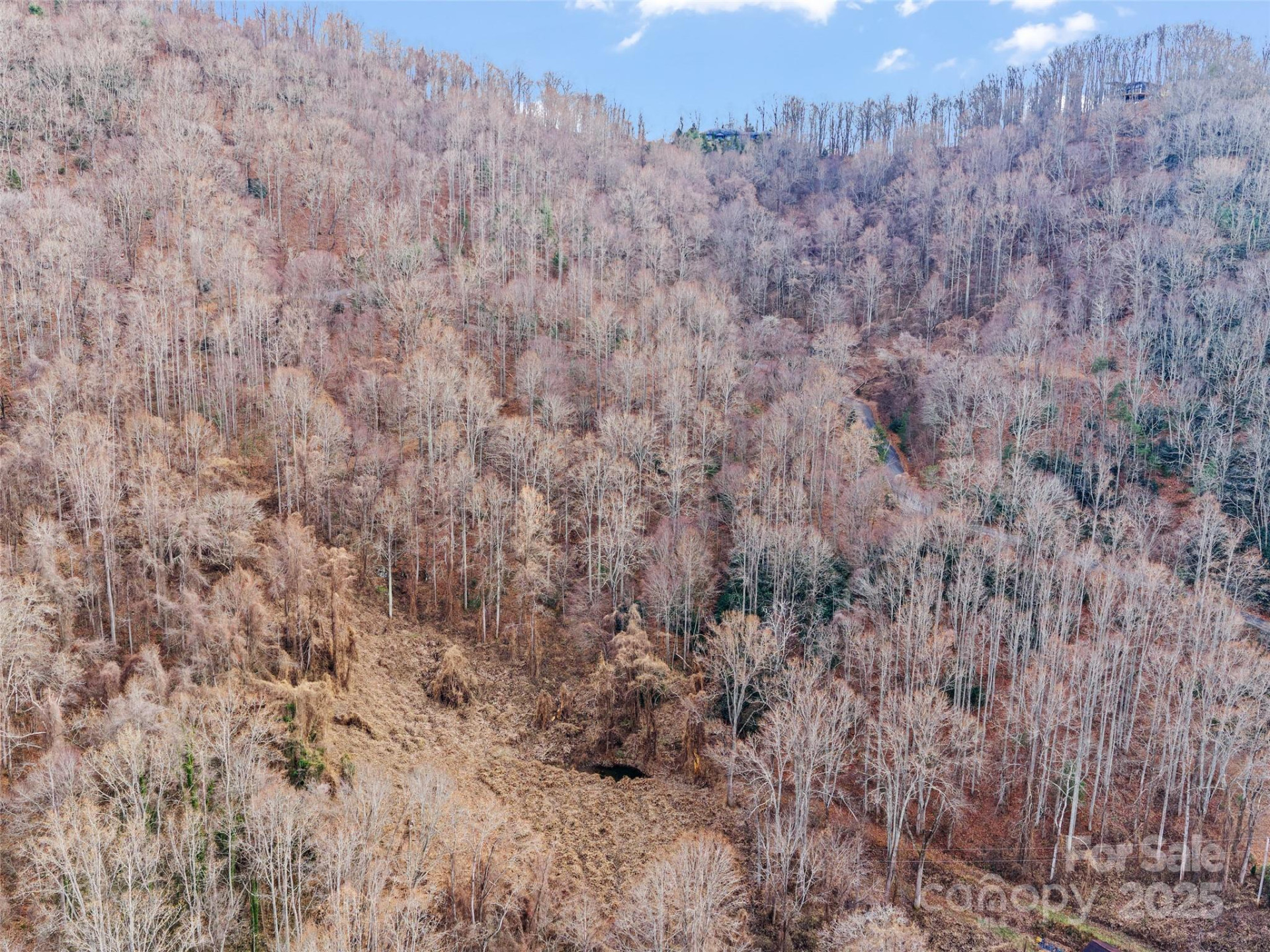 99999 Flora Rose Trail - Photo 32