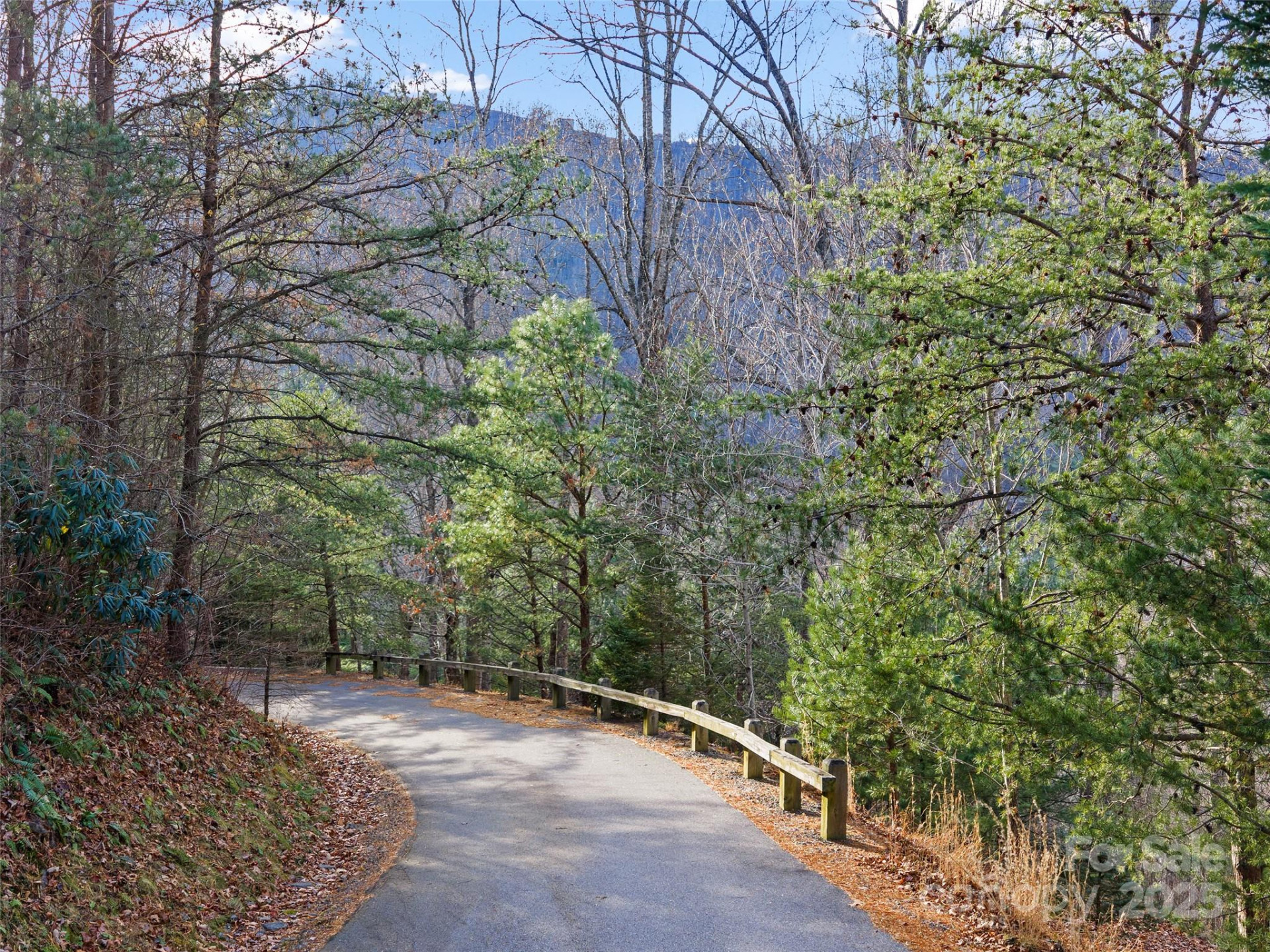 99999 Flora Rose Trail - Photo 33