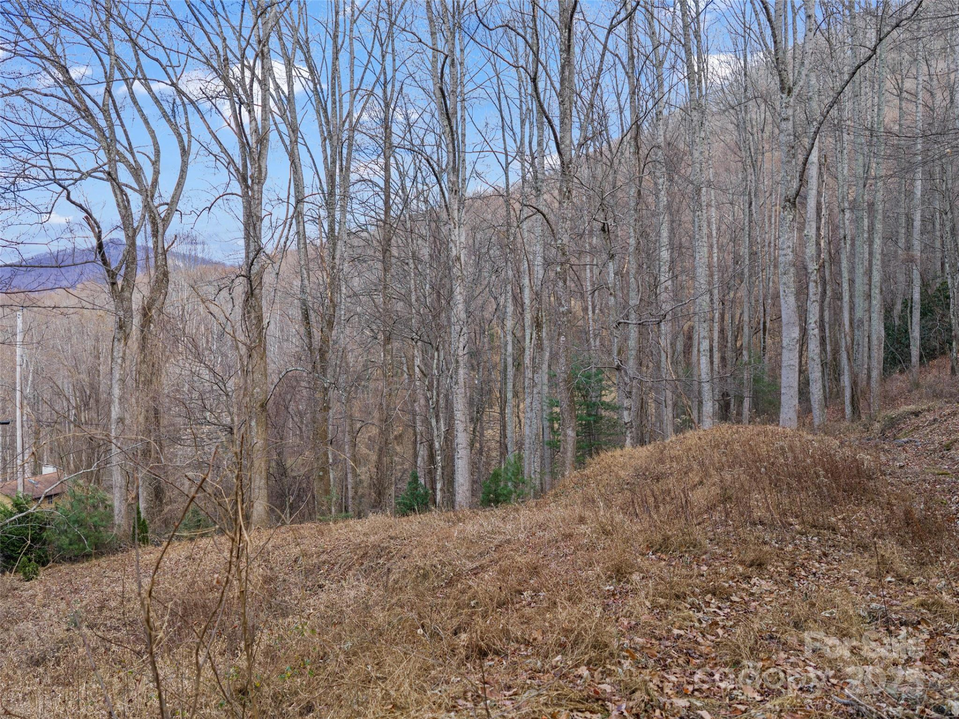 99999 Flora Rose Trail - Photo 5