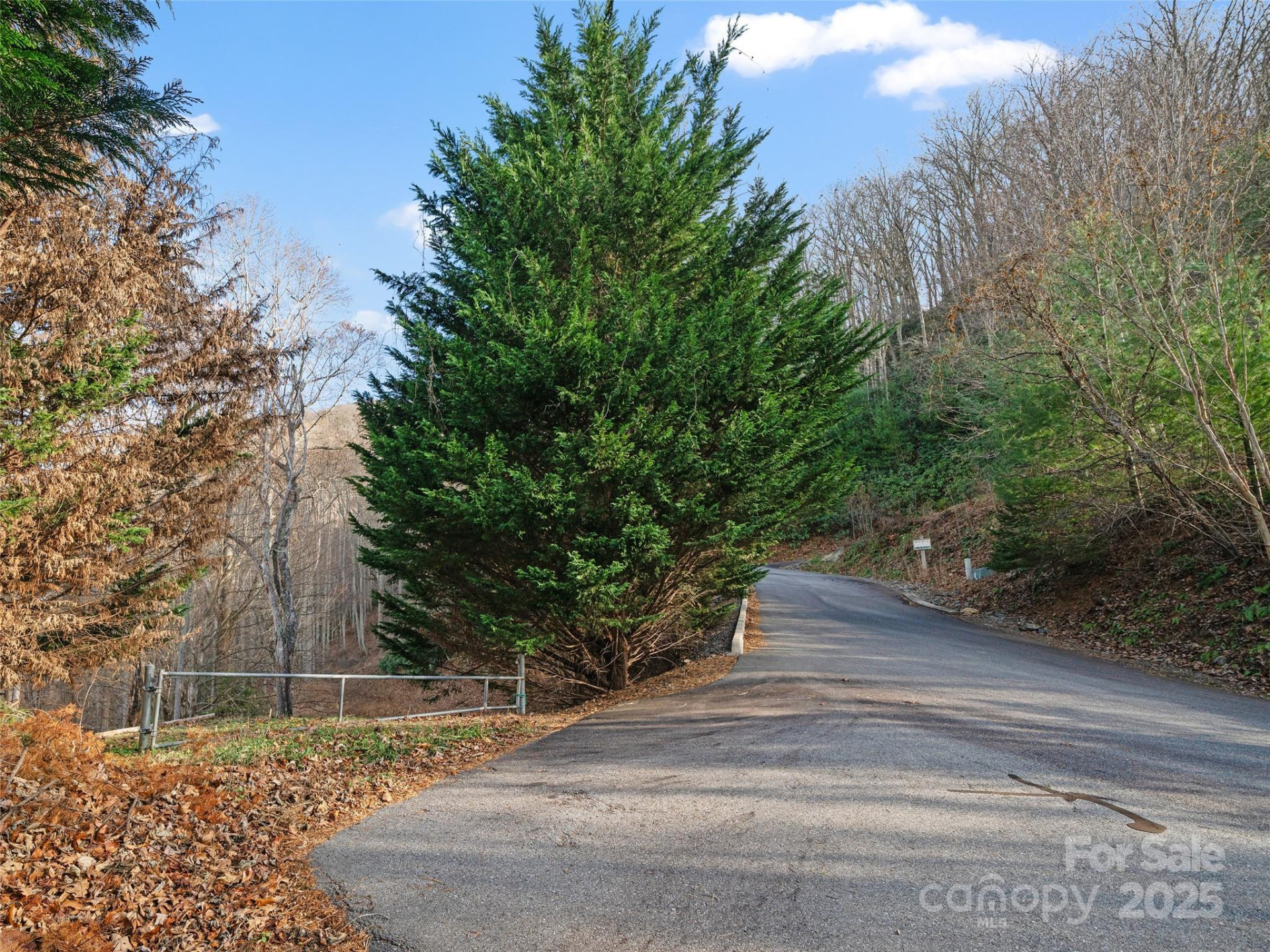 99999 Flora Rose Trail - Photo 6