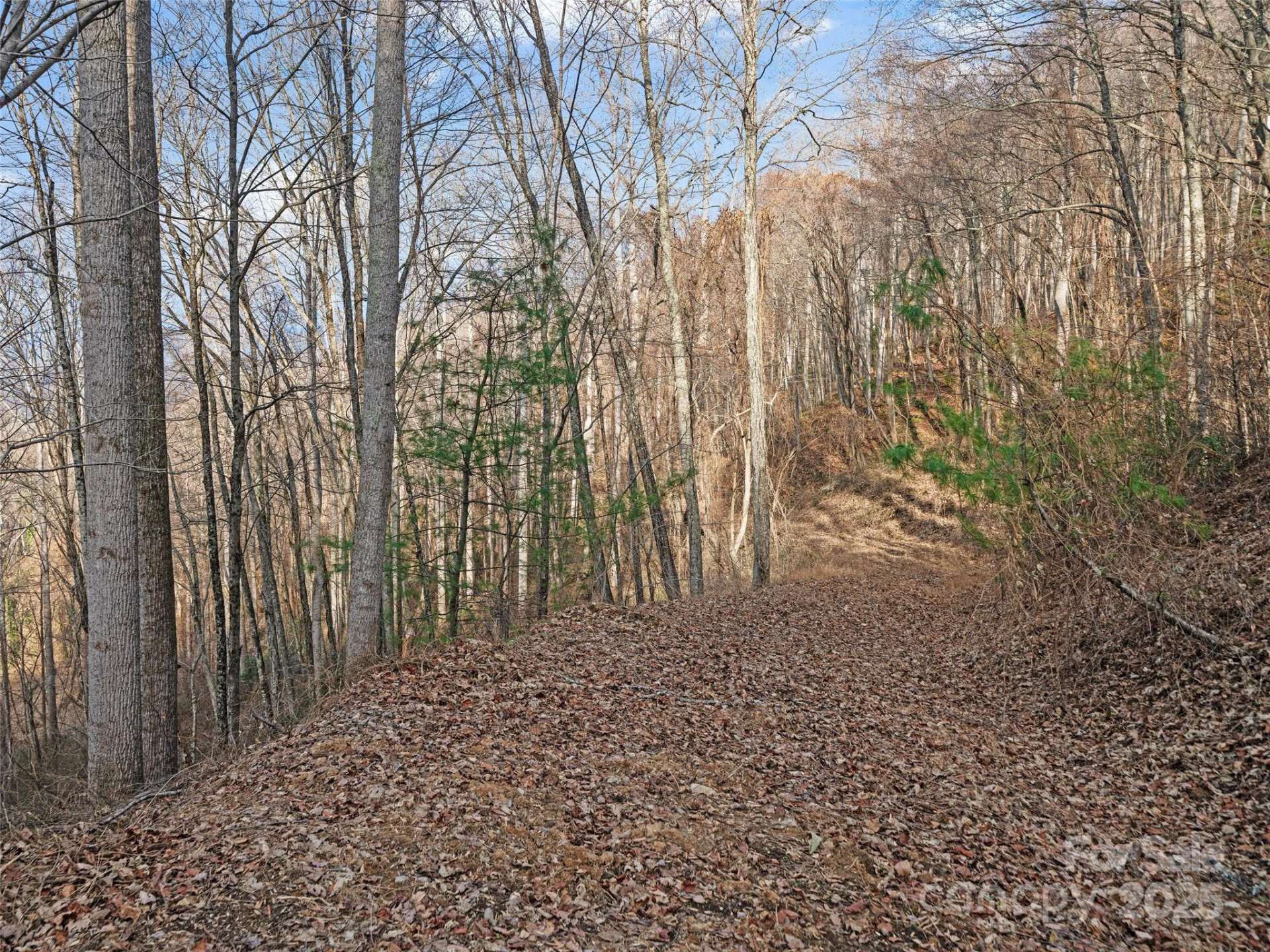 99999 Flora Rose Trail - Photo 8