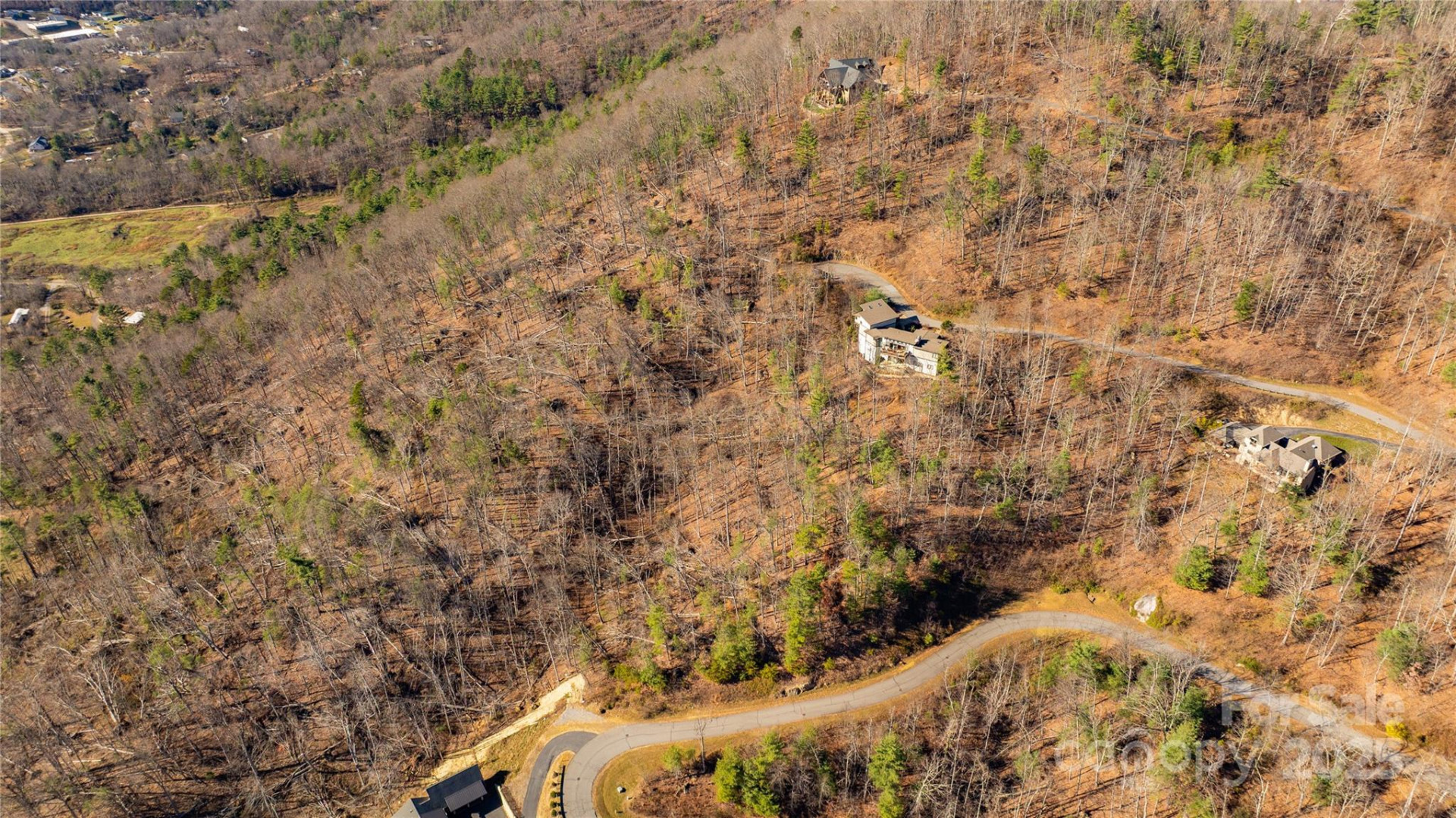 56 Finch Drive - Photo 4