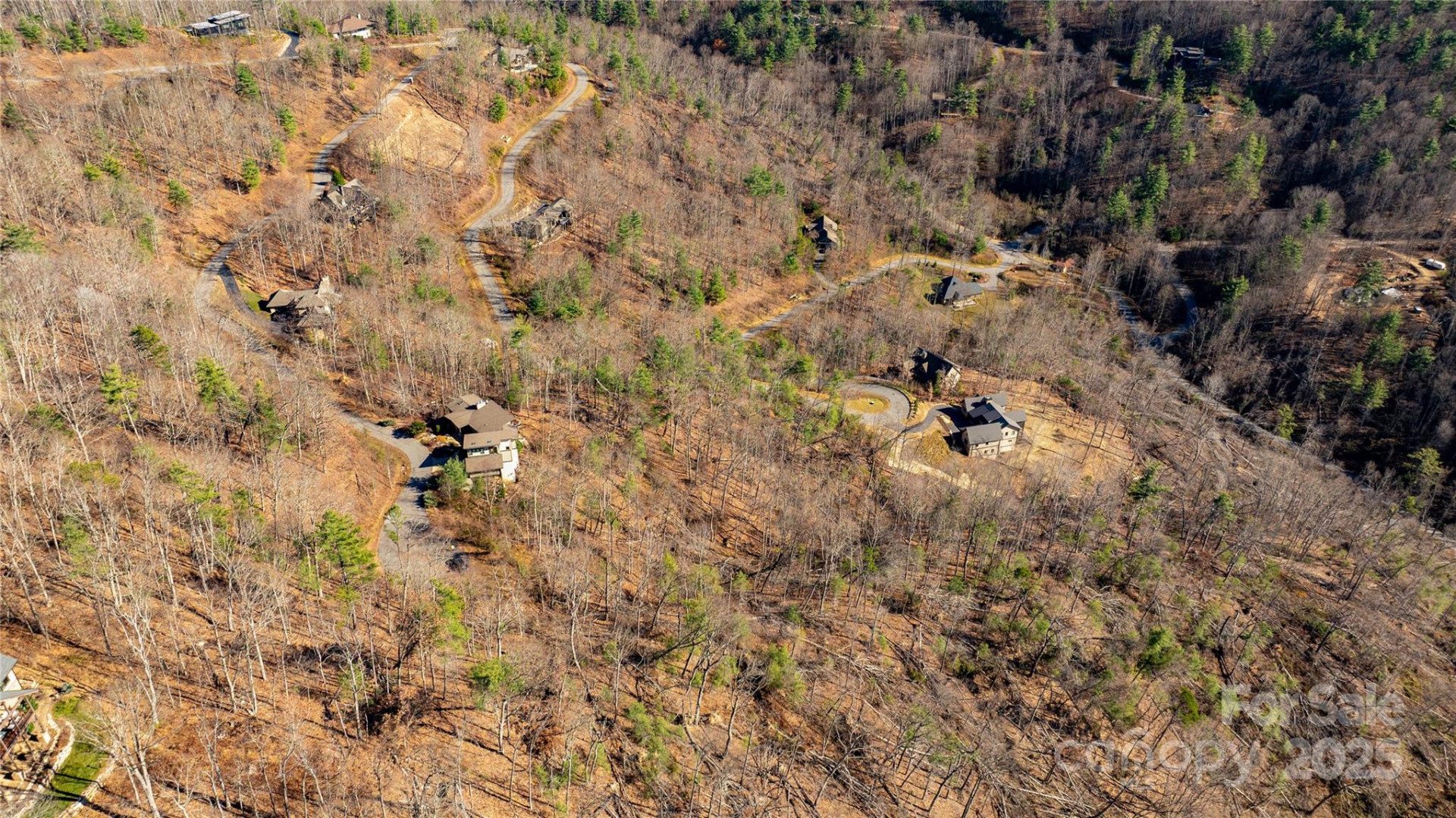 56 Finch Drive - Photo 5