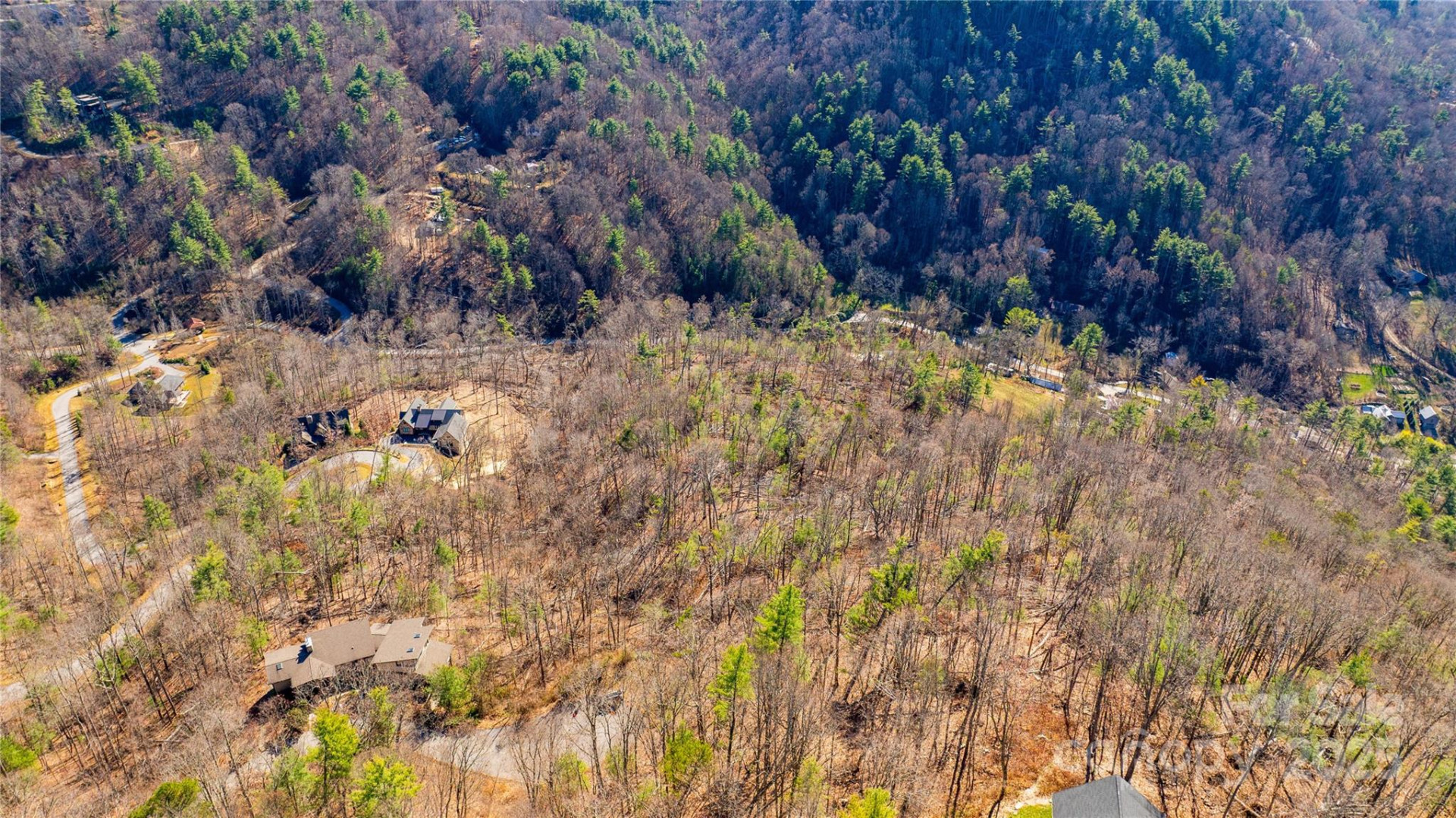 56 Finch Drive - Photo 10