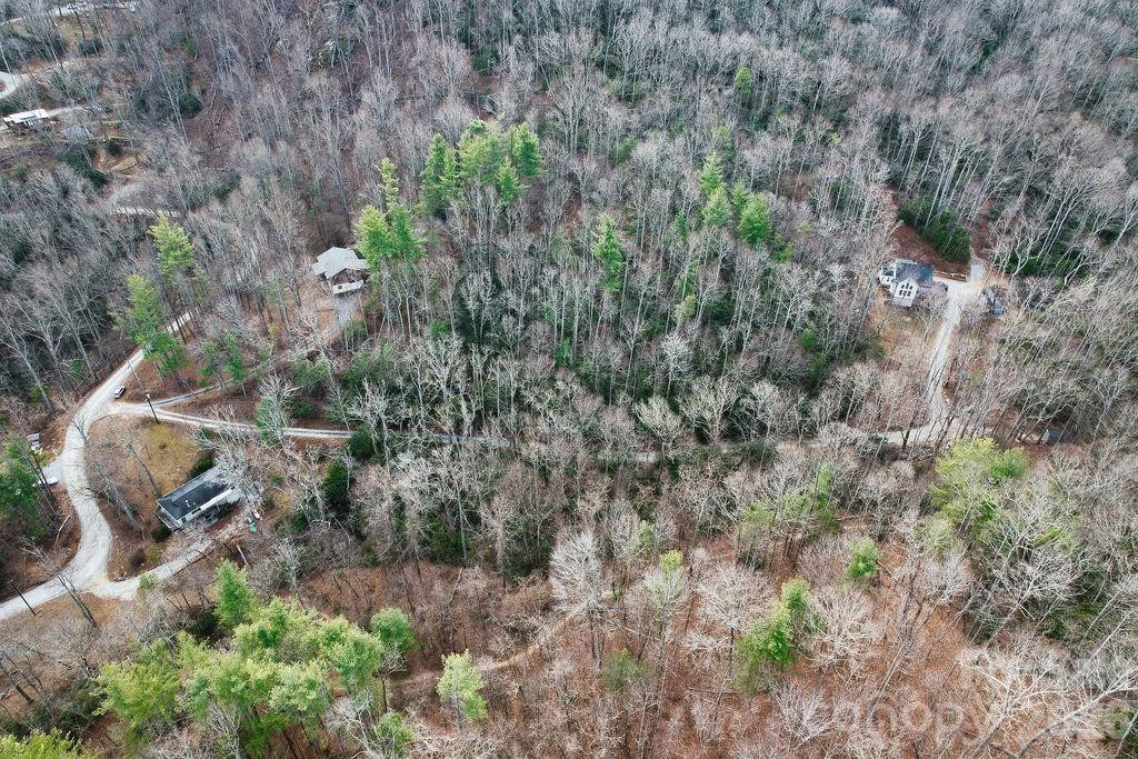 00 Lazy Bear Trail #35-36 - Photo 2