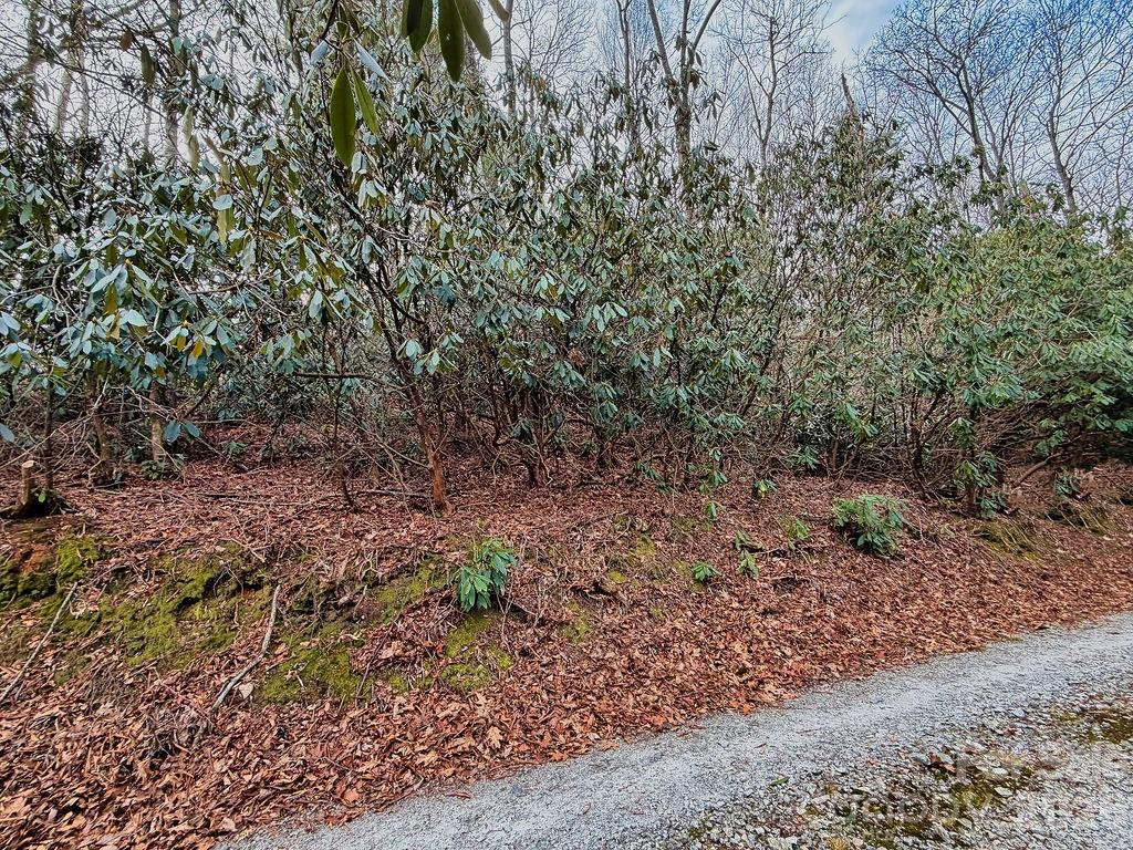 00 Lazy Bear Trail #35-36 - Photo 11