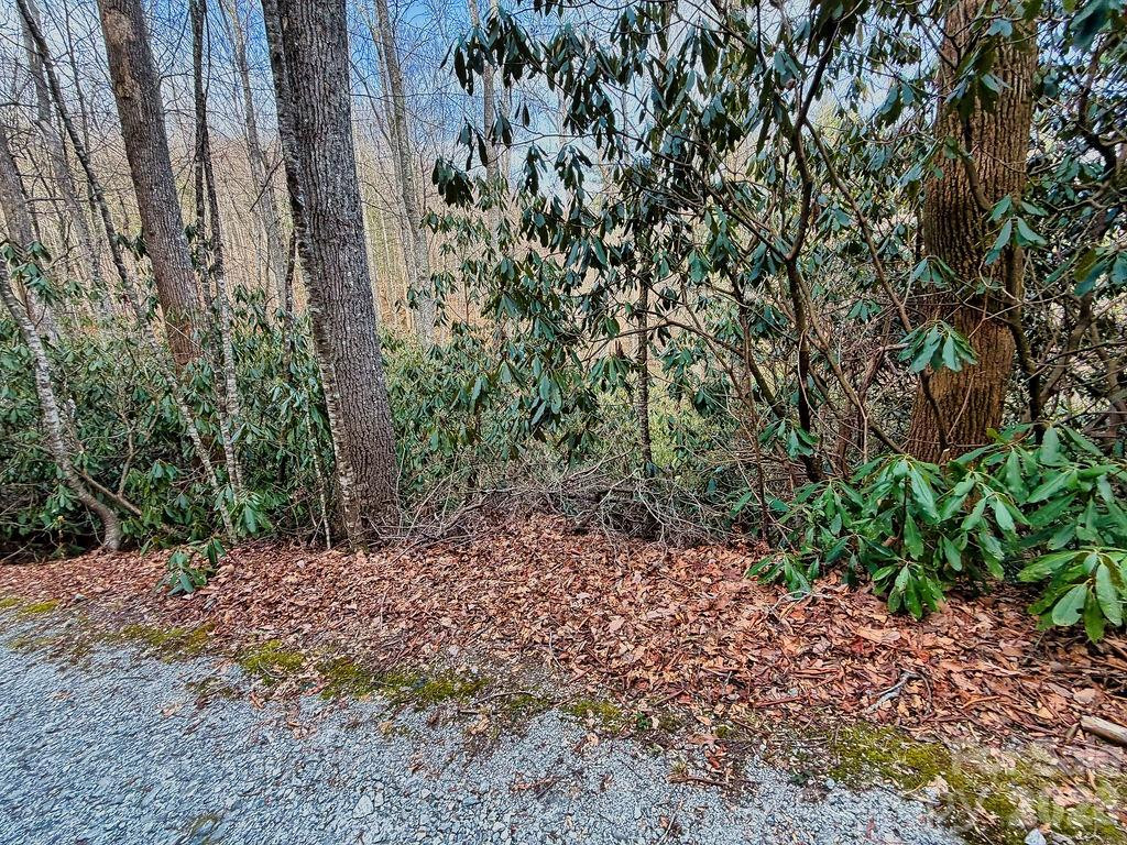 00 Lazy Bear Trail #35-36 - Photo 12