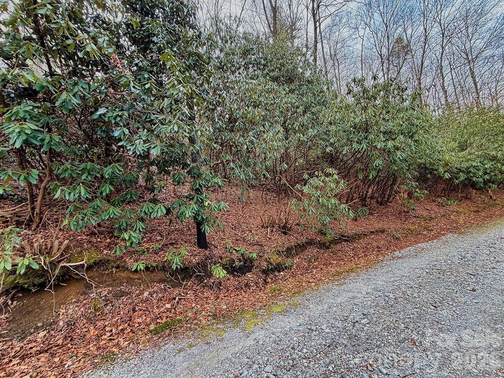 00 Lazy Bear Trail #35-36 - Photo 13