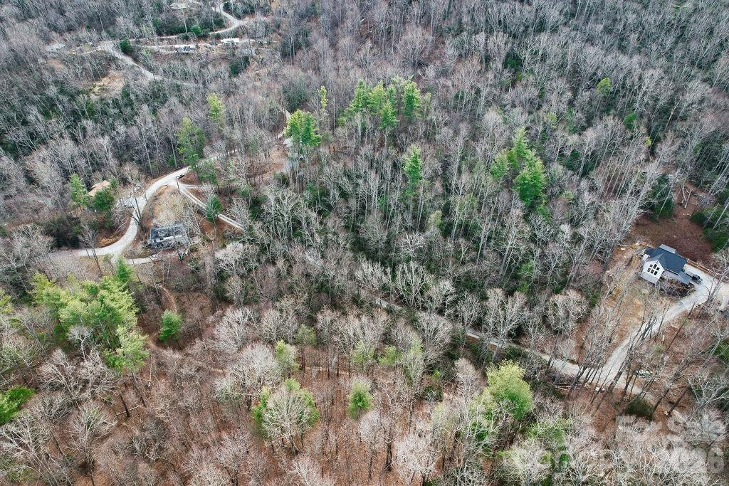 00 Lazy Bear Trail #35-36 - Photo 3