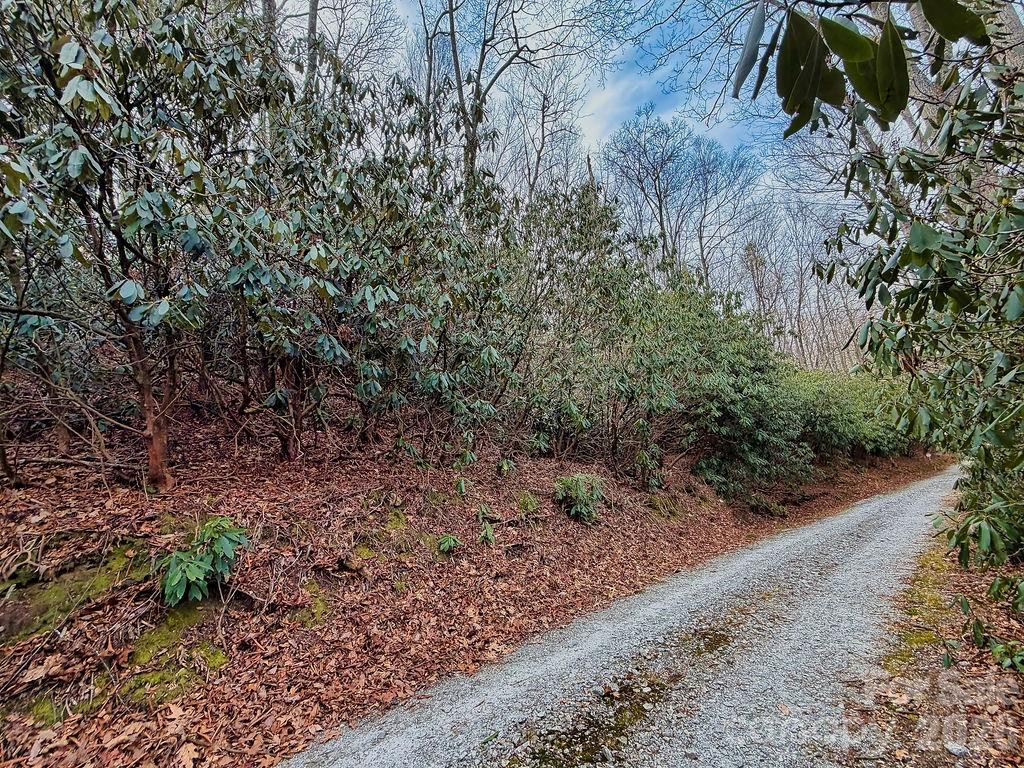 00 Lazy Bear Trail #35-36 - Photo 4