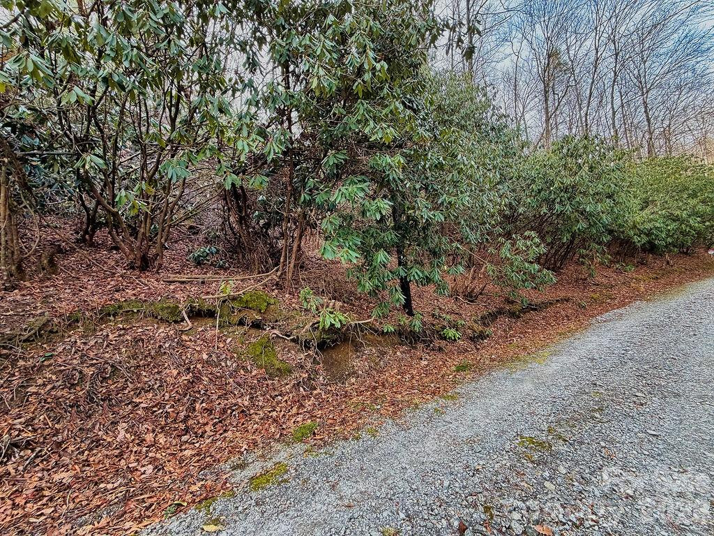 00 Lazy Bear Trail #35-36 - Photo 5