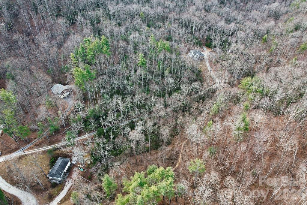 00 Lazy Bear Trail #35-36 - Photo 6