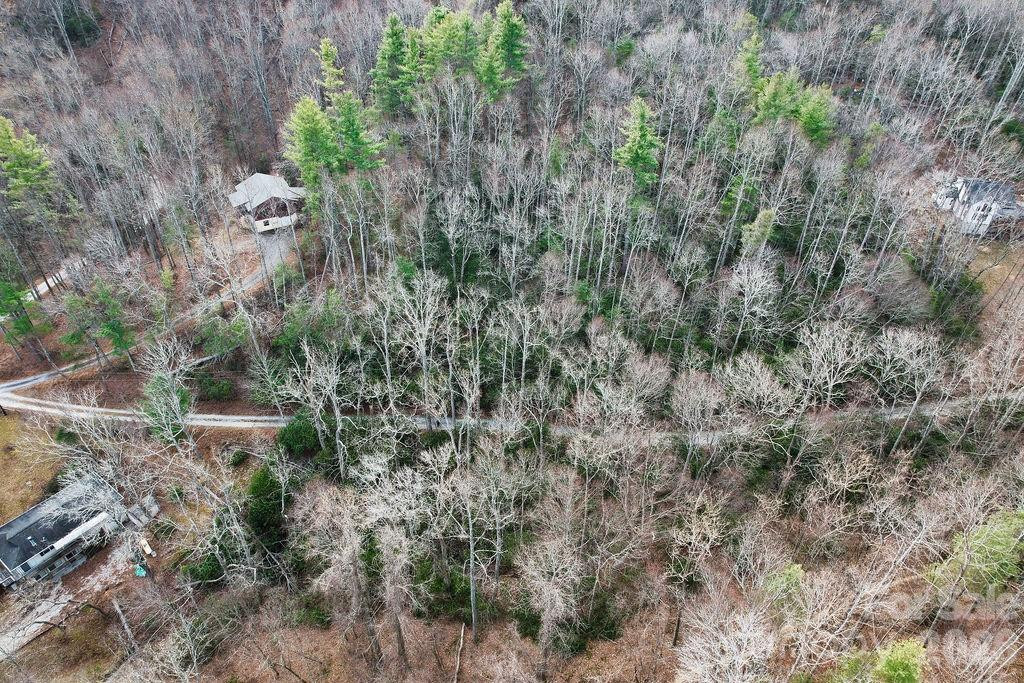 00 Lazy Bear Trail #35-36 - Photo 8