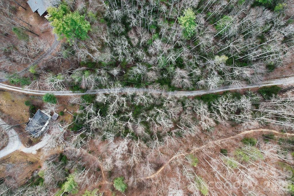 00 Lazy Bear Trail #35-36 - Photo 9