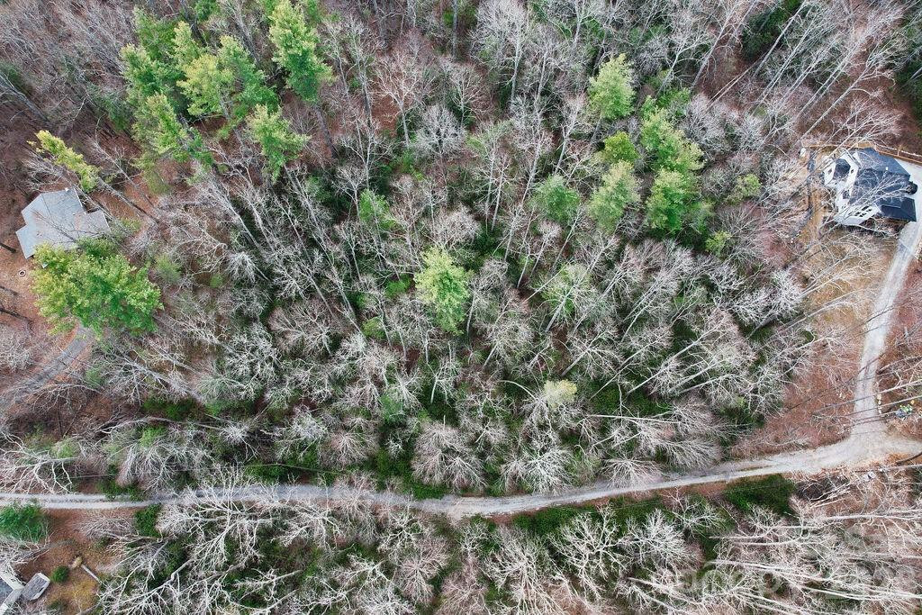 00 Lazy Bear Trail #35-36 - Photo 10