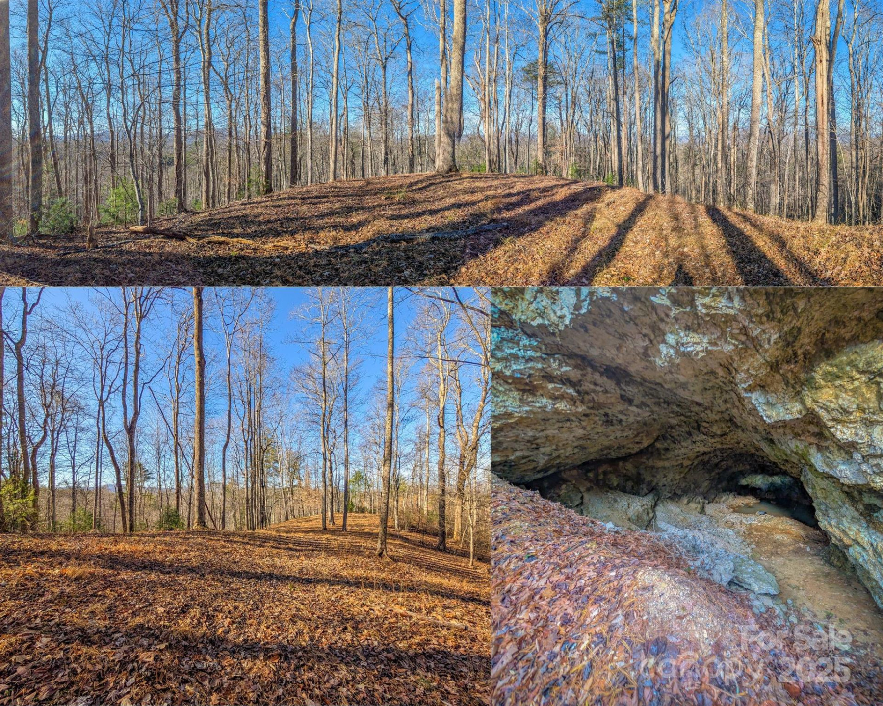 000 Bear Mountain Ridge