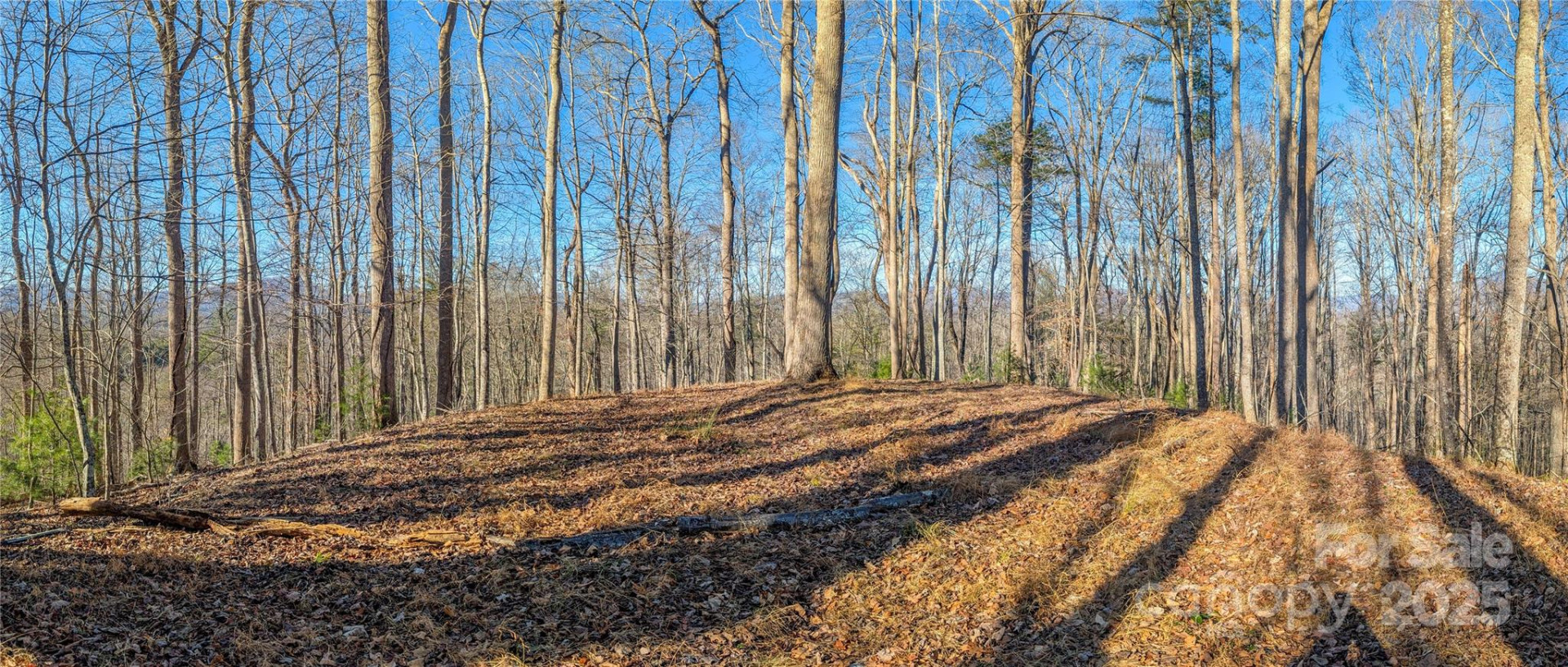 000 Bear Mountain Ridge - Photo 12