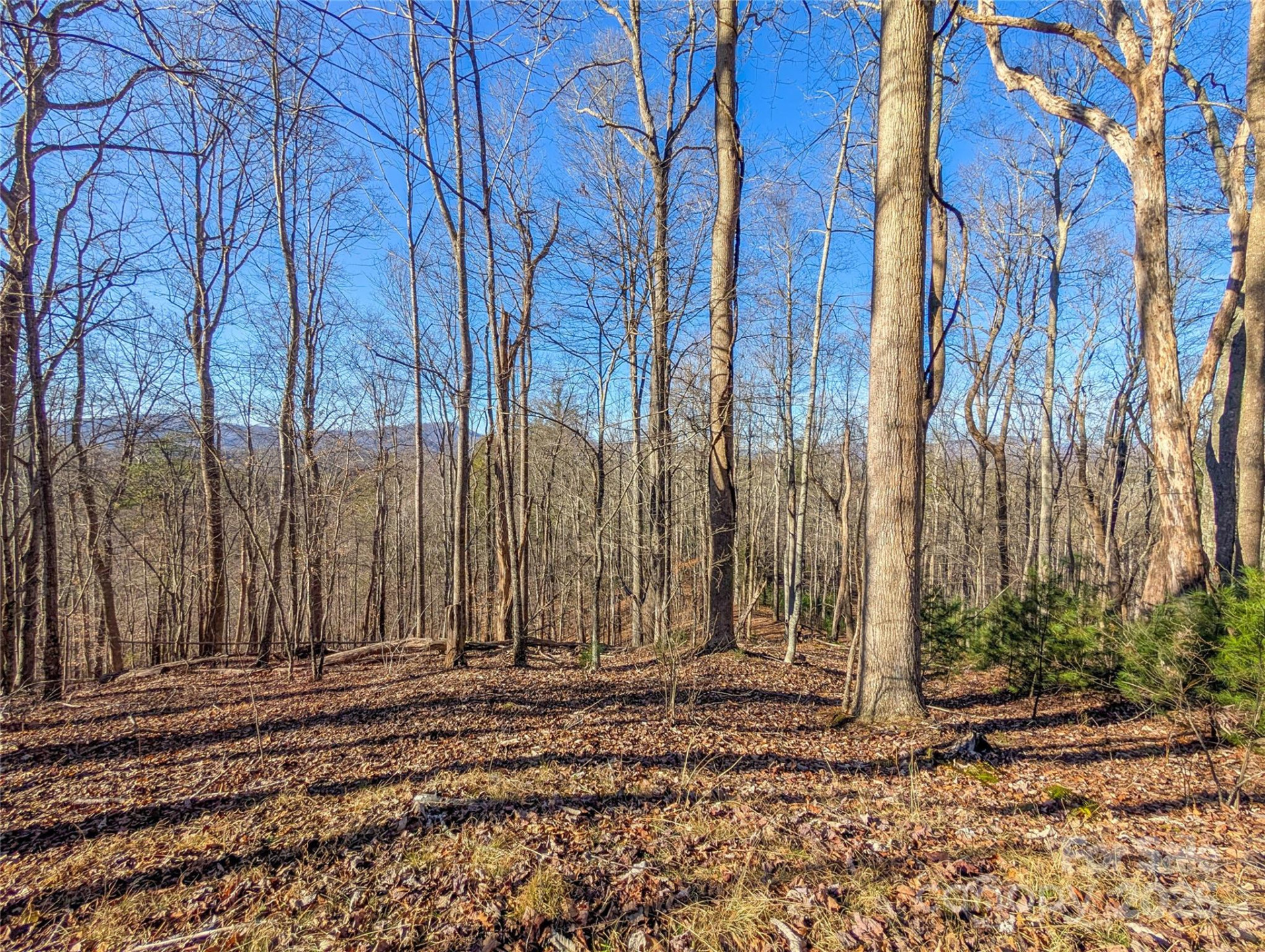 000 Bear Mountain Ridge - Photo 14