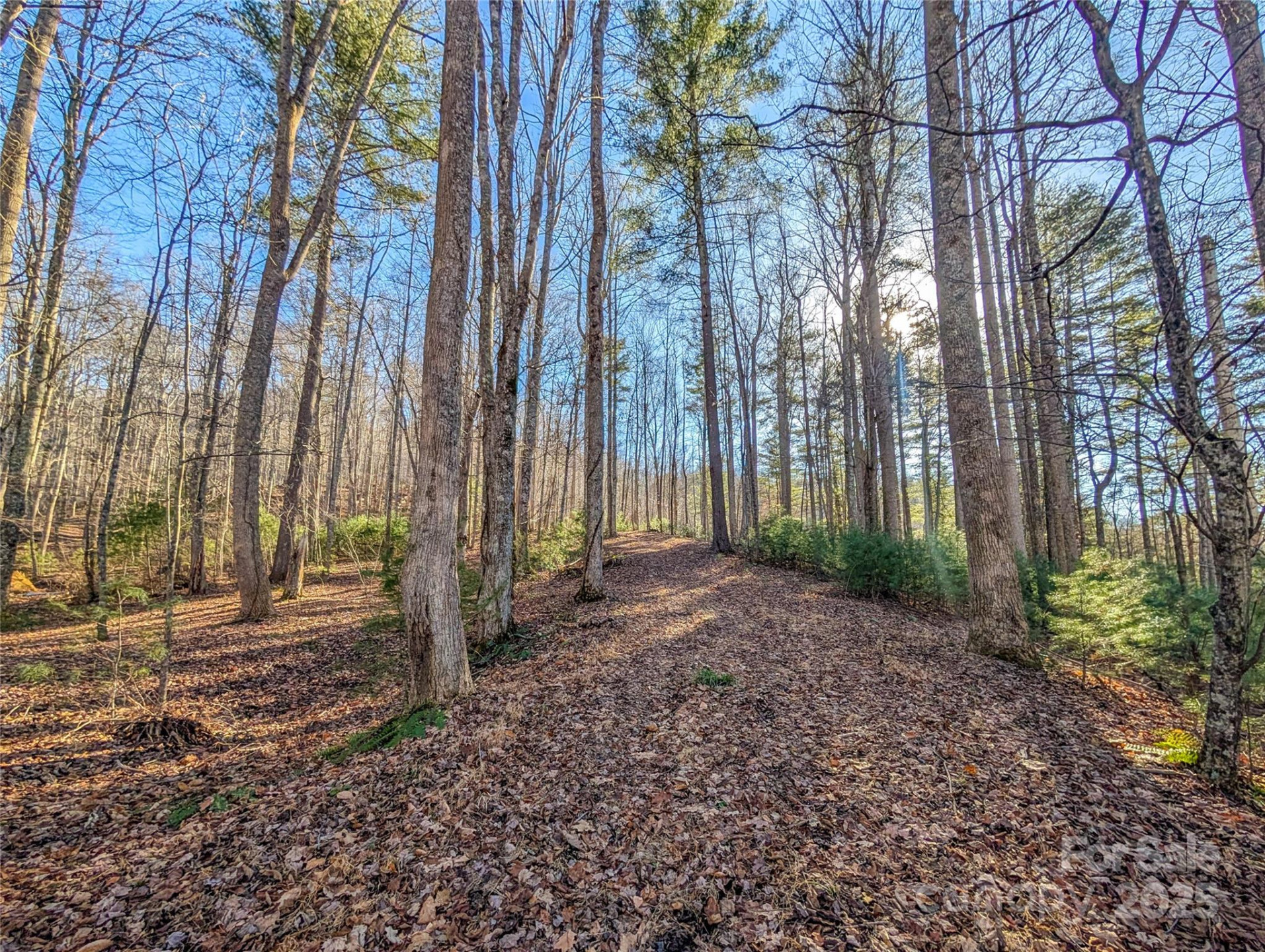 000 Bear Mountain Ridge - Photo 16